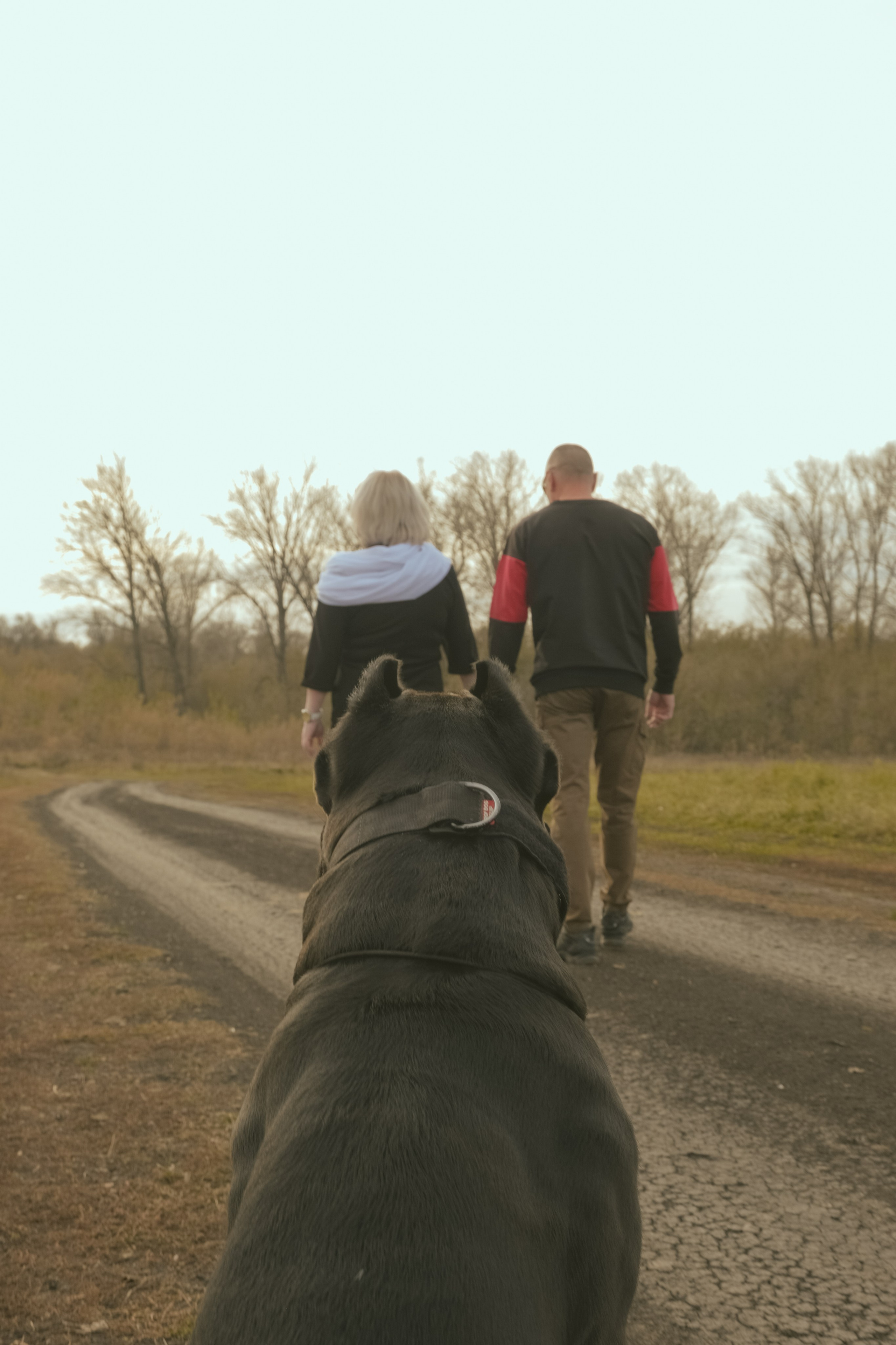 Рэм и компания. Фотограф-фотоловушка SunBuddy