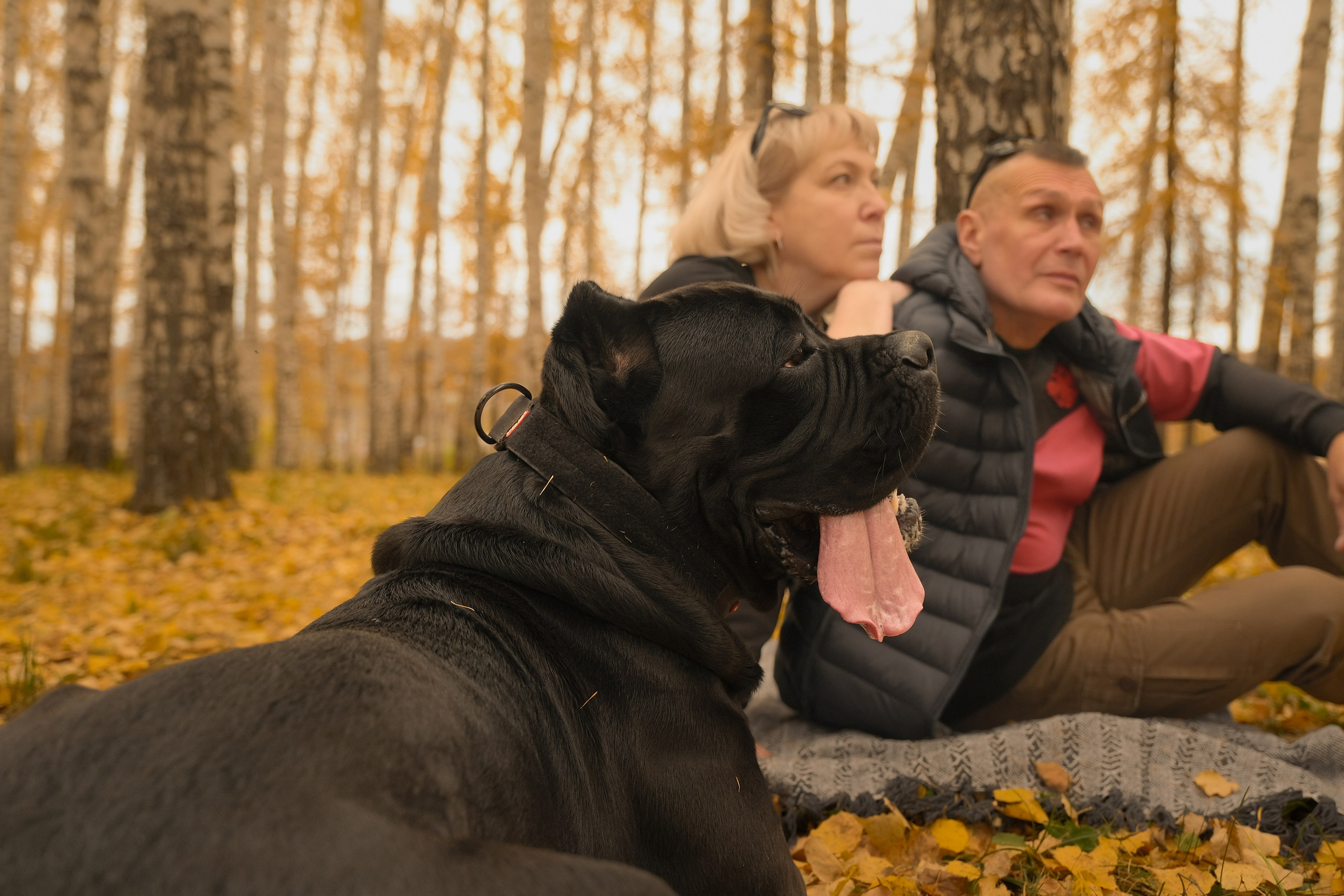 Рэм и компания. Фотограф-фотоловушка SunBuddy