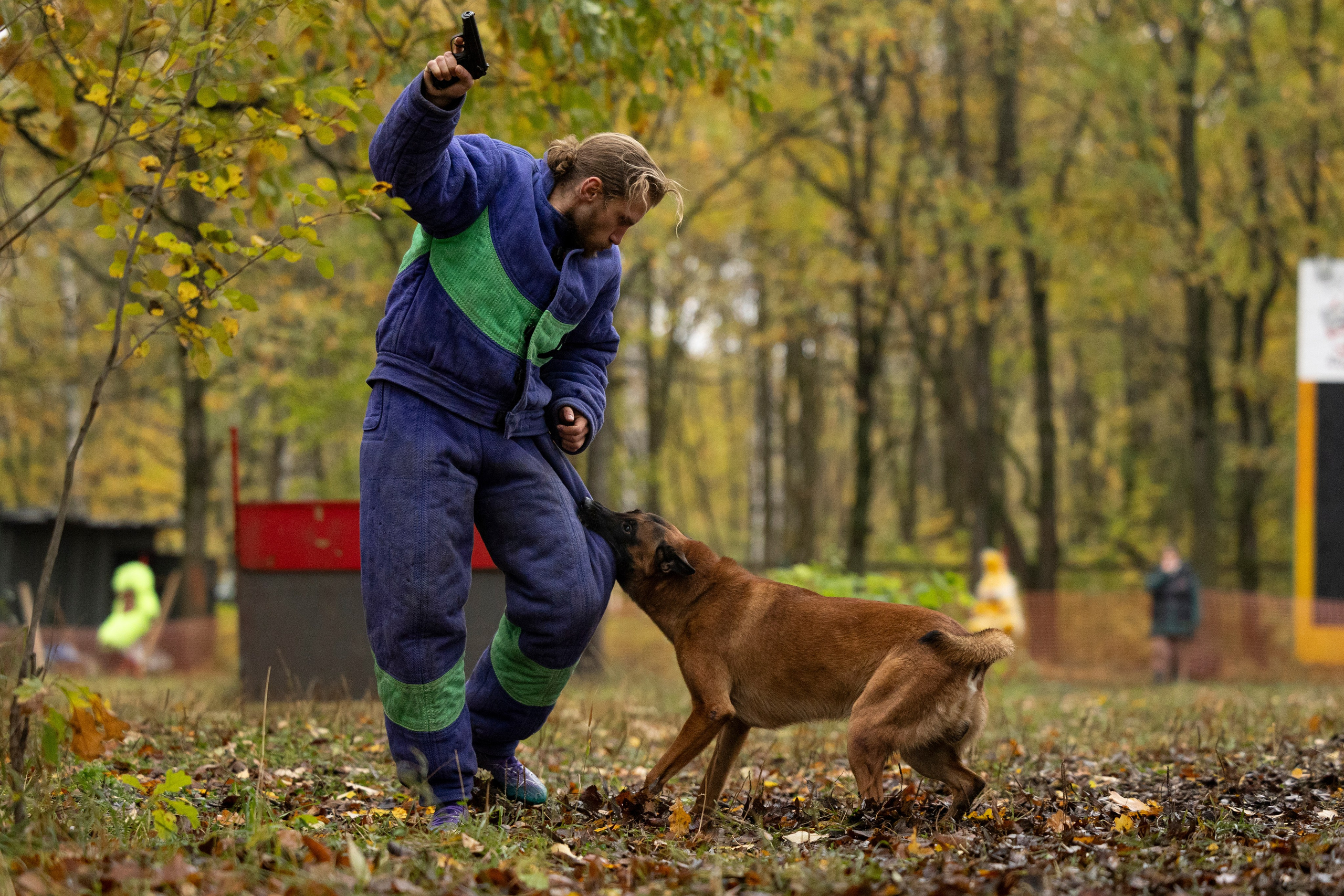 Соревнования по Мондьорингу г. Вологда. Фотограф-анималист Анна Маринич