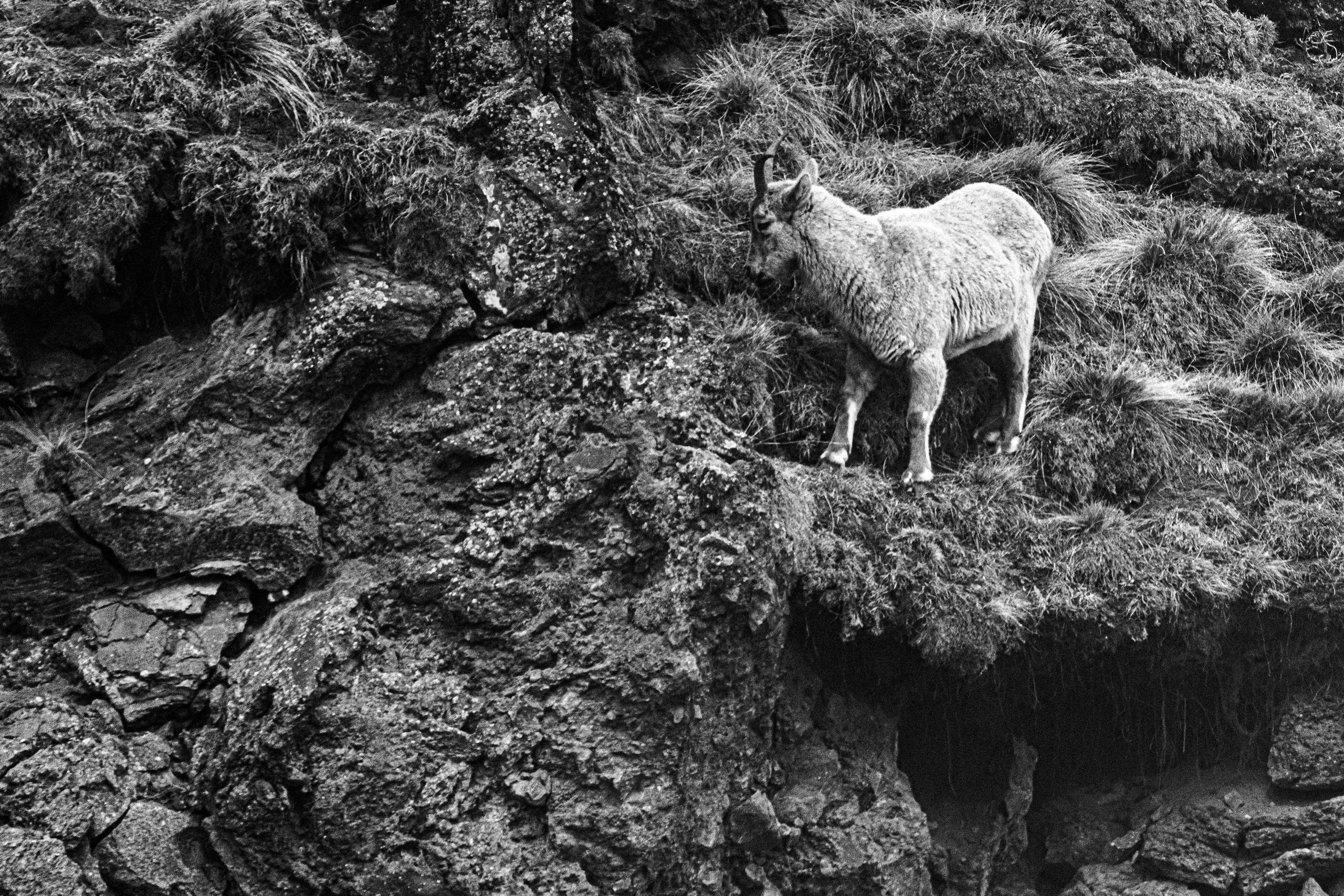 Ч.б. фотографии. Фотографии Лены Соколовой