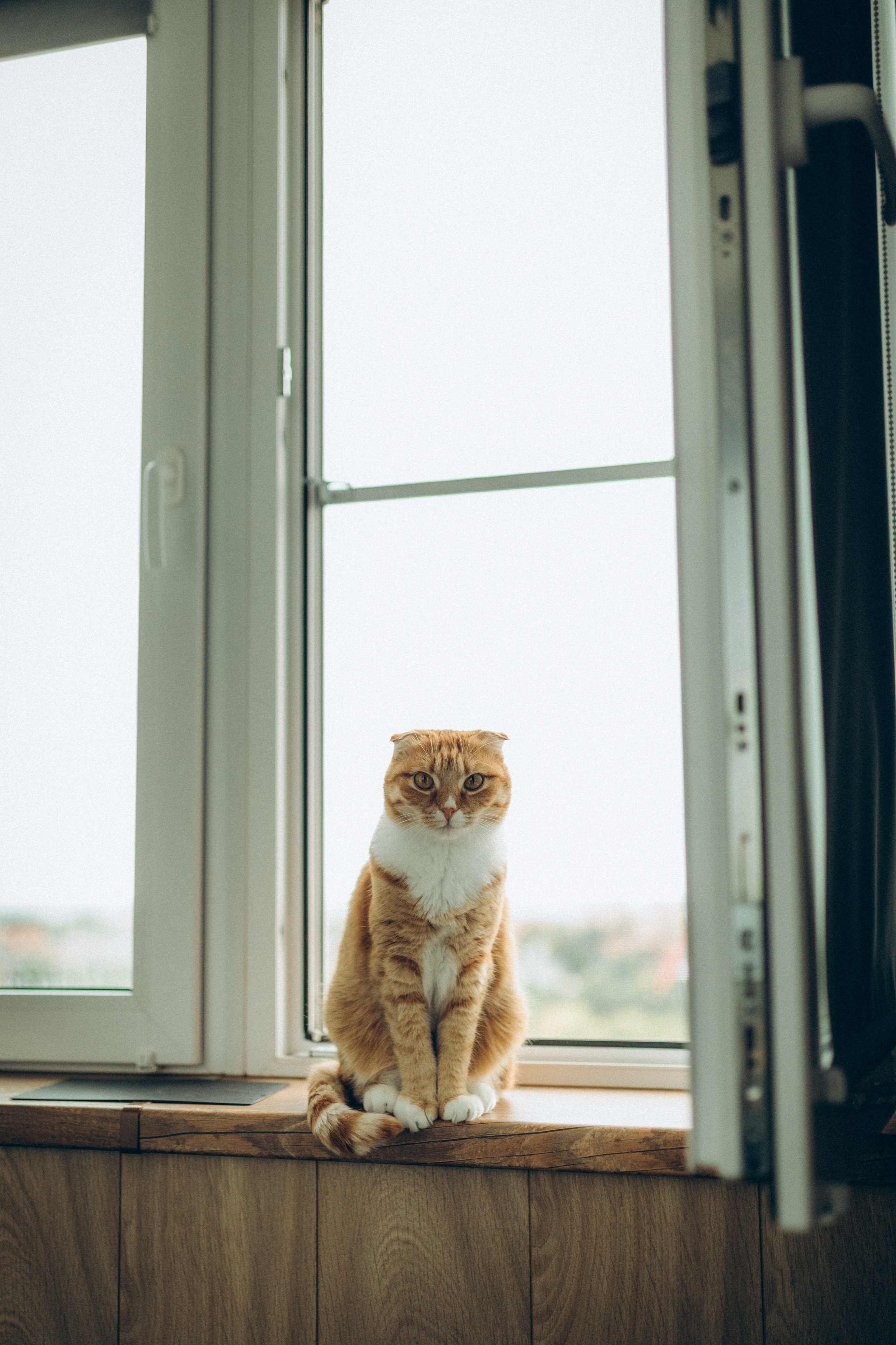 Аня, Кирилл и Ярослав. Семейный фотограф и фотограф на роды в Ростове-на-Дону Мухина Виктория