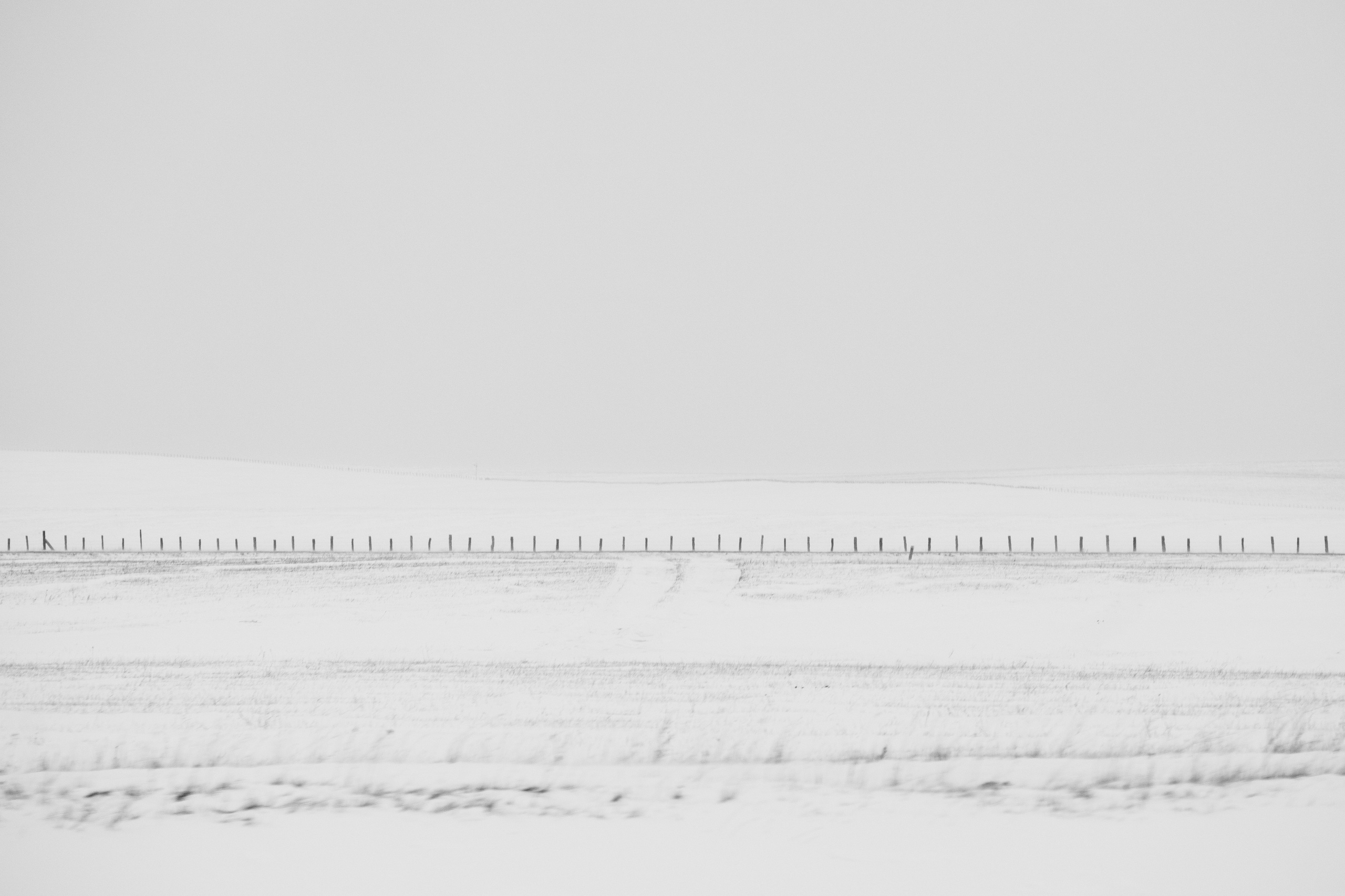 Silence. Irina Borodina