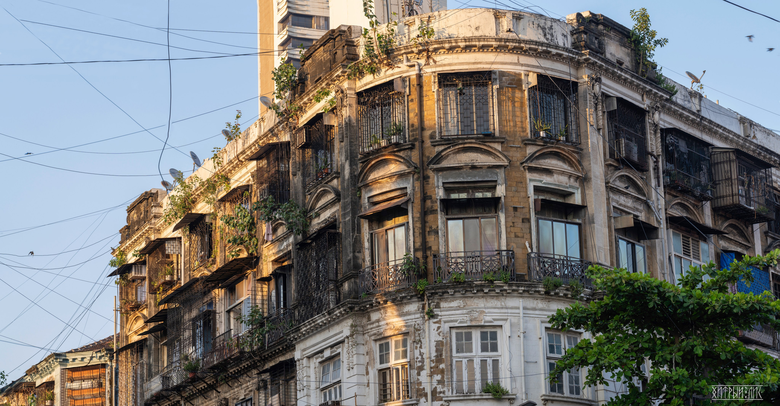 Гоа-Мумбаи. Фотограф-путешественник Самойлов Максим «Sly Fox»