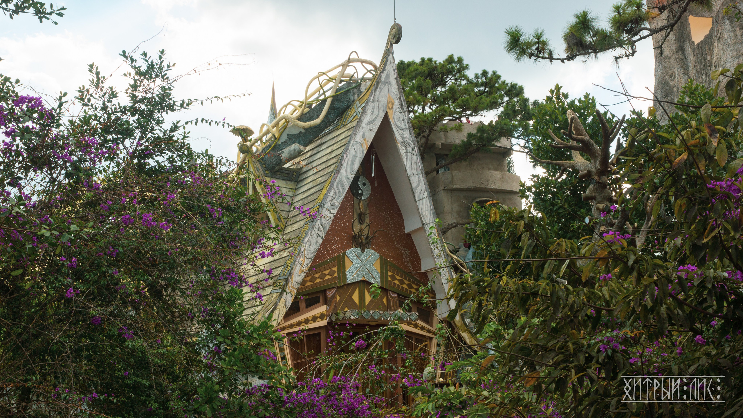 Вьетнам. Фотограф-путешественник Самойлов Максим «Sly Fox»