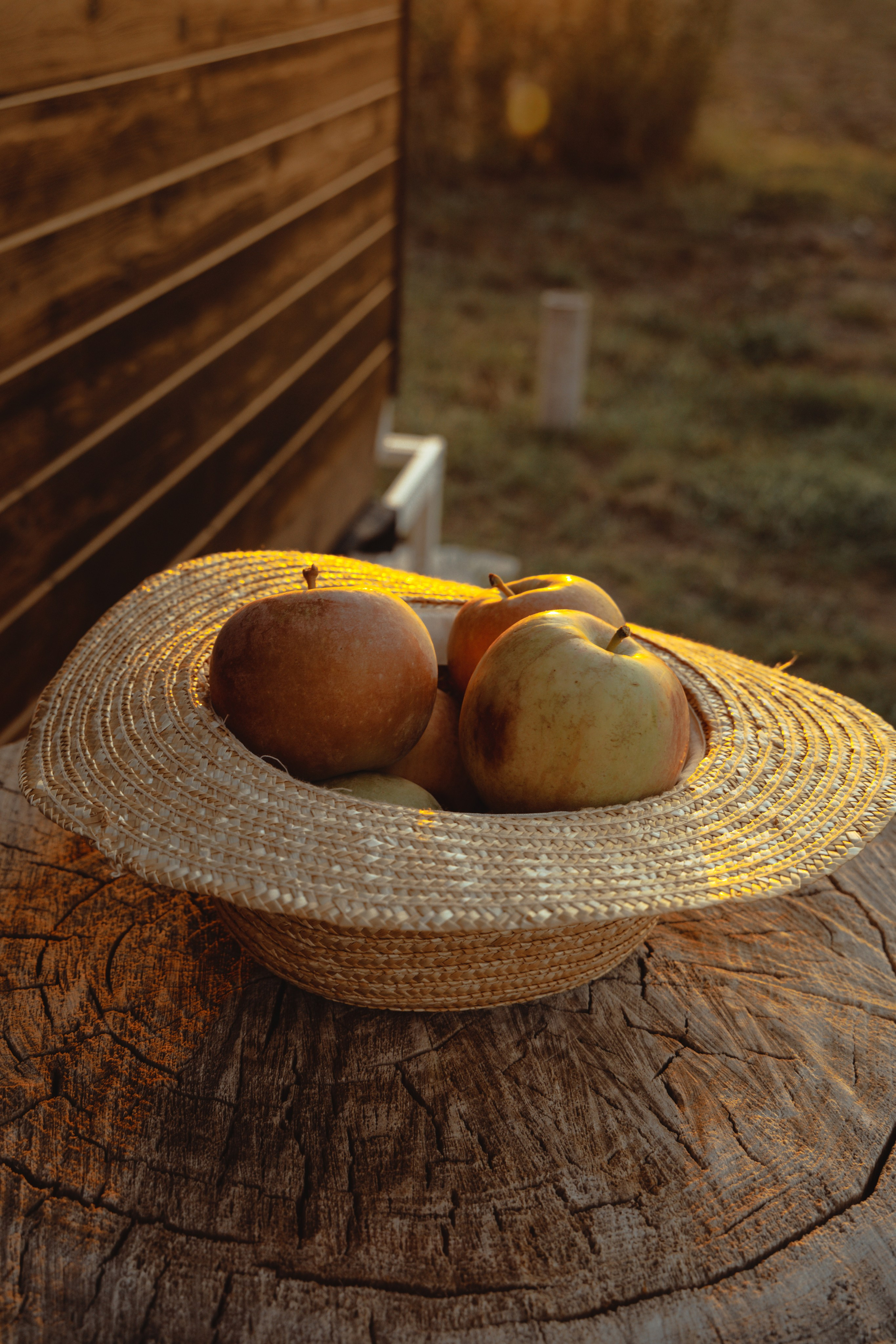 Domik в саду. Артем Корнев Фотограф