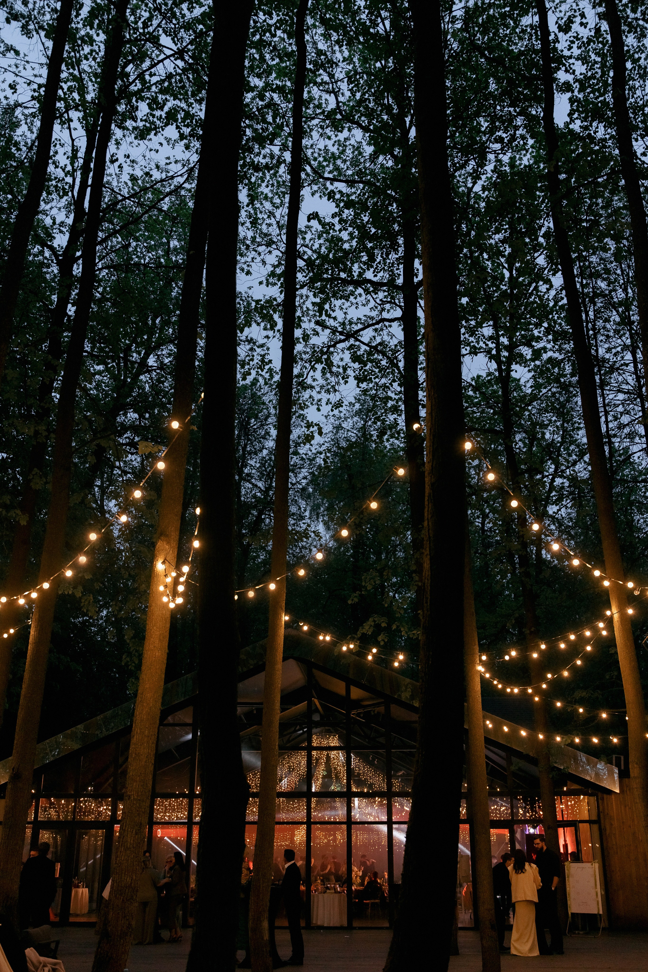 ЛЕС Event House выездная регистрация и свадебный банкет на площадке ЛЕС. Свадебный фотограф Москва