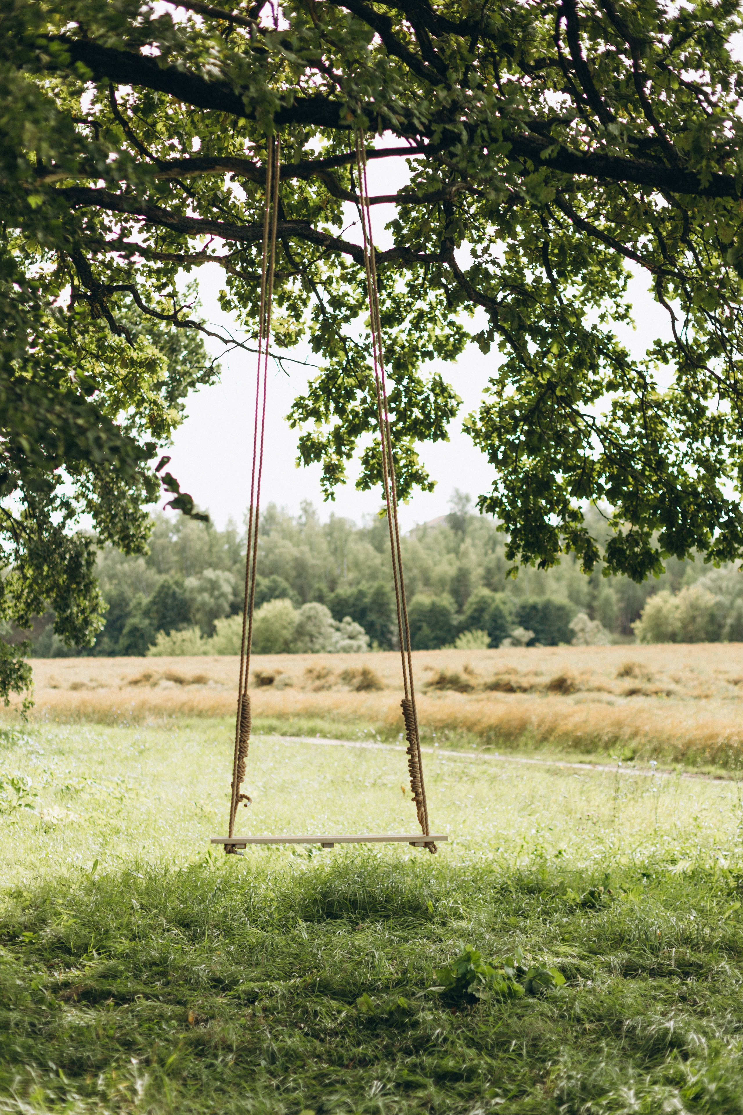 🤍. Семейный фотограф в Москве Жукова Анна