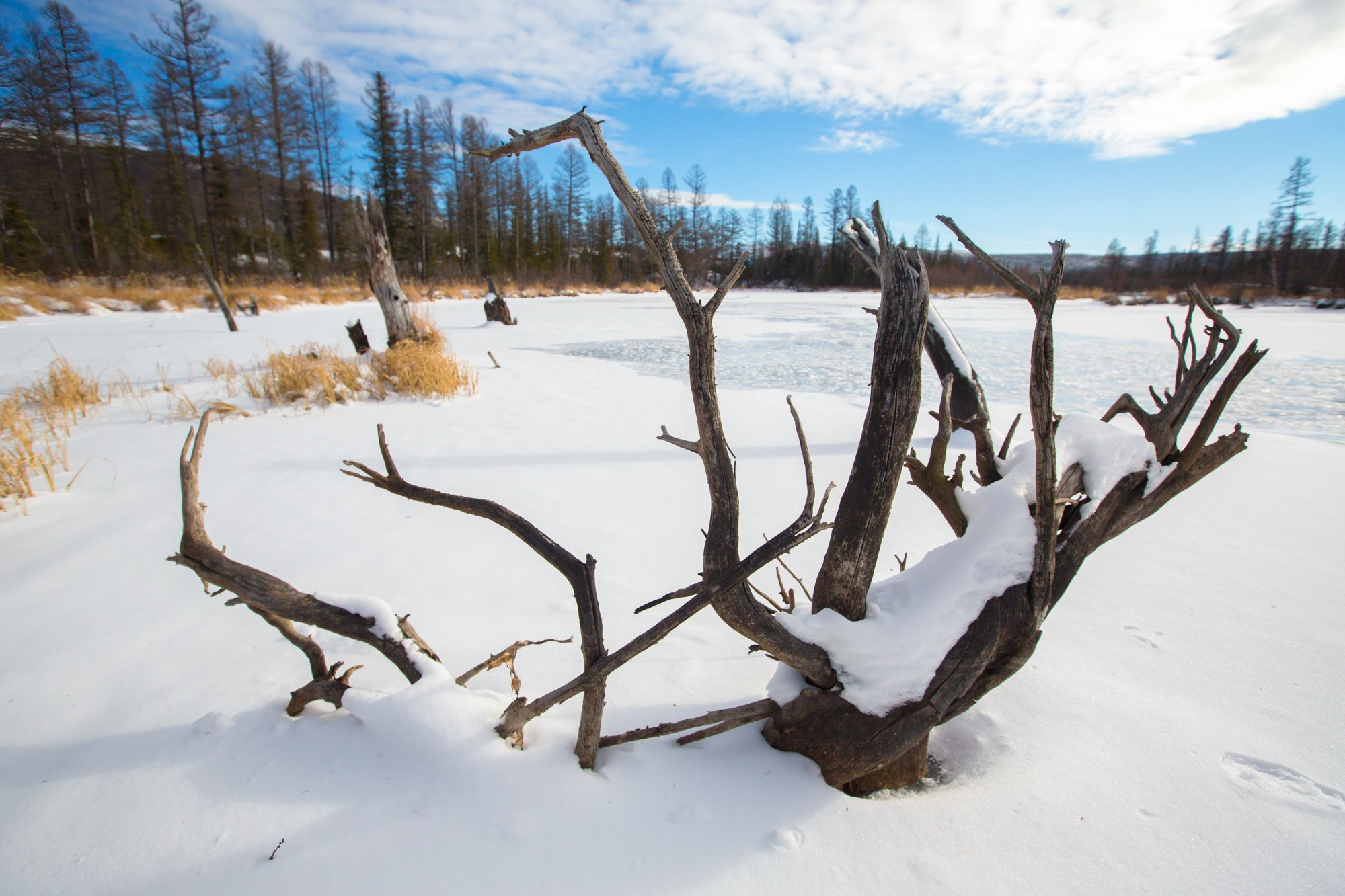 Якутия. Фотограф Алексей Скоробогатько