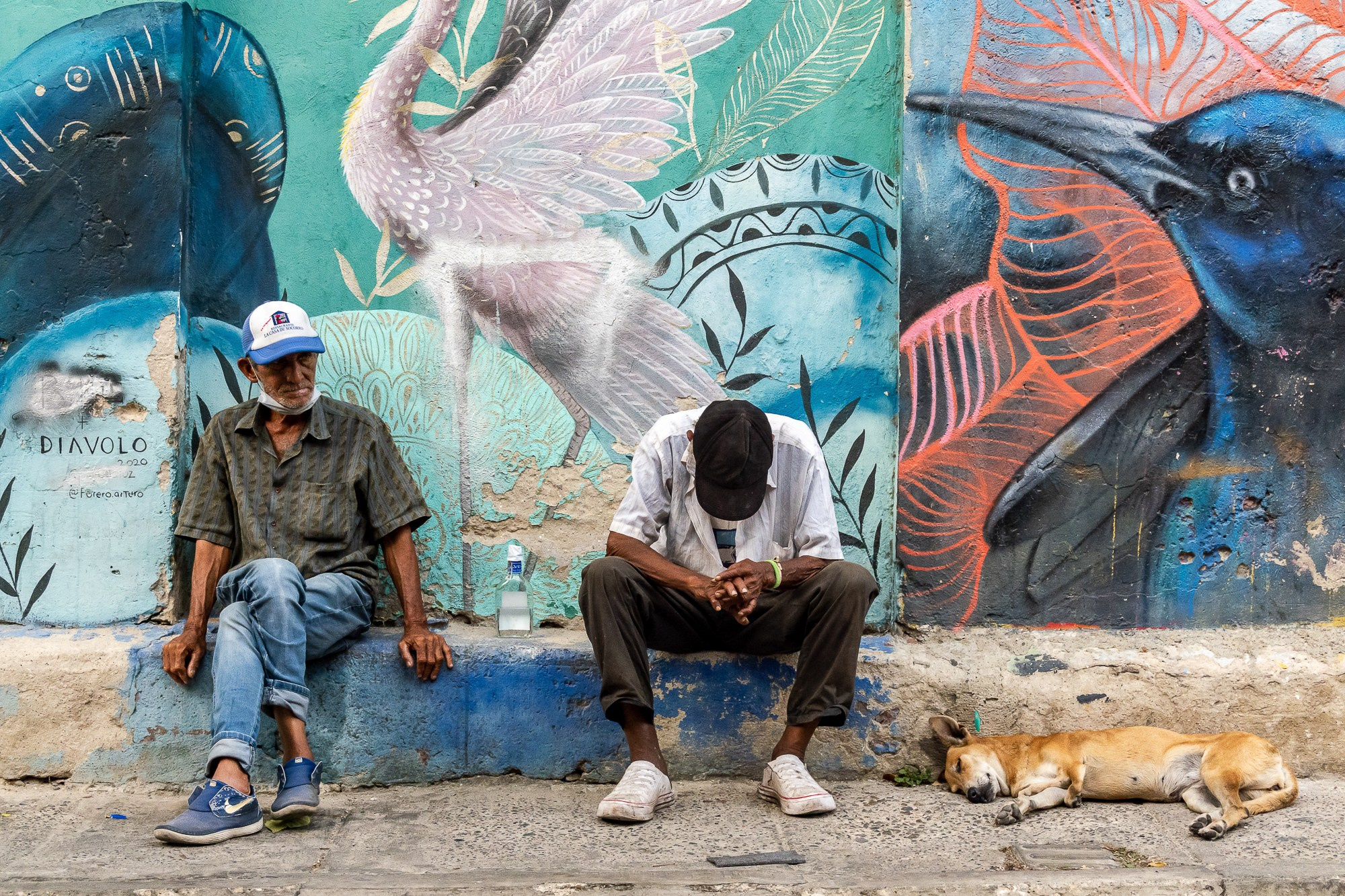 Алексей Скоробогатько, фотограф  г. Картахена, Колумбия. Alexey Skorobogatko, photographer, Cartagena, Colombia. Фотограф Алексей Скоробогатько
