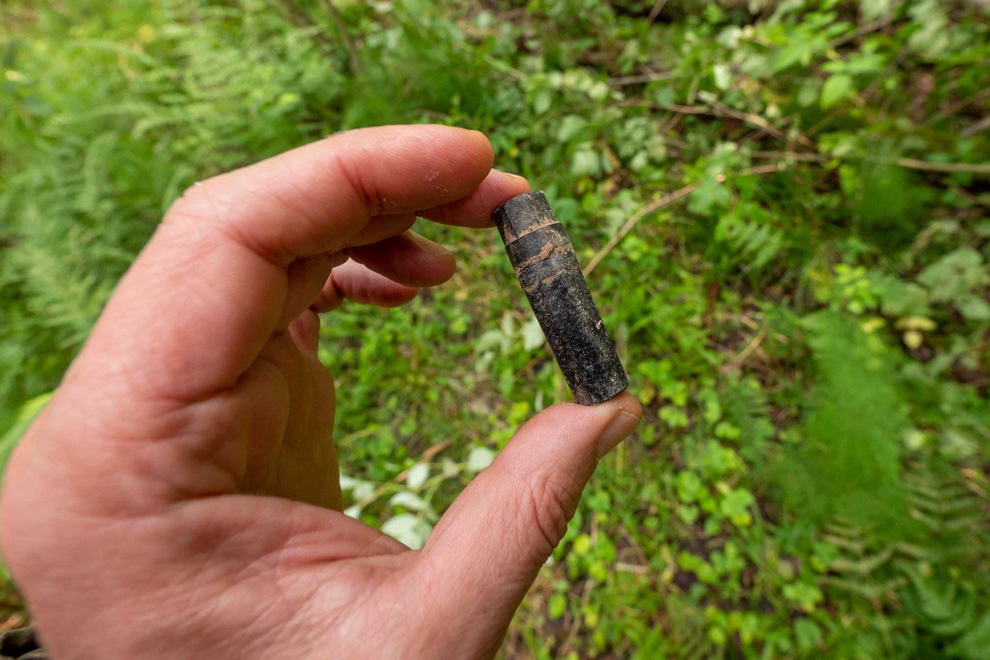 Высота 2019. Фотограф Алексей Скоробогатько