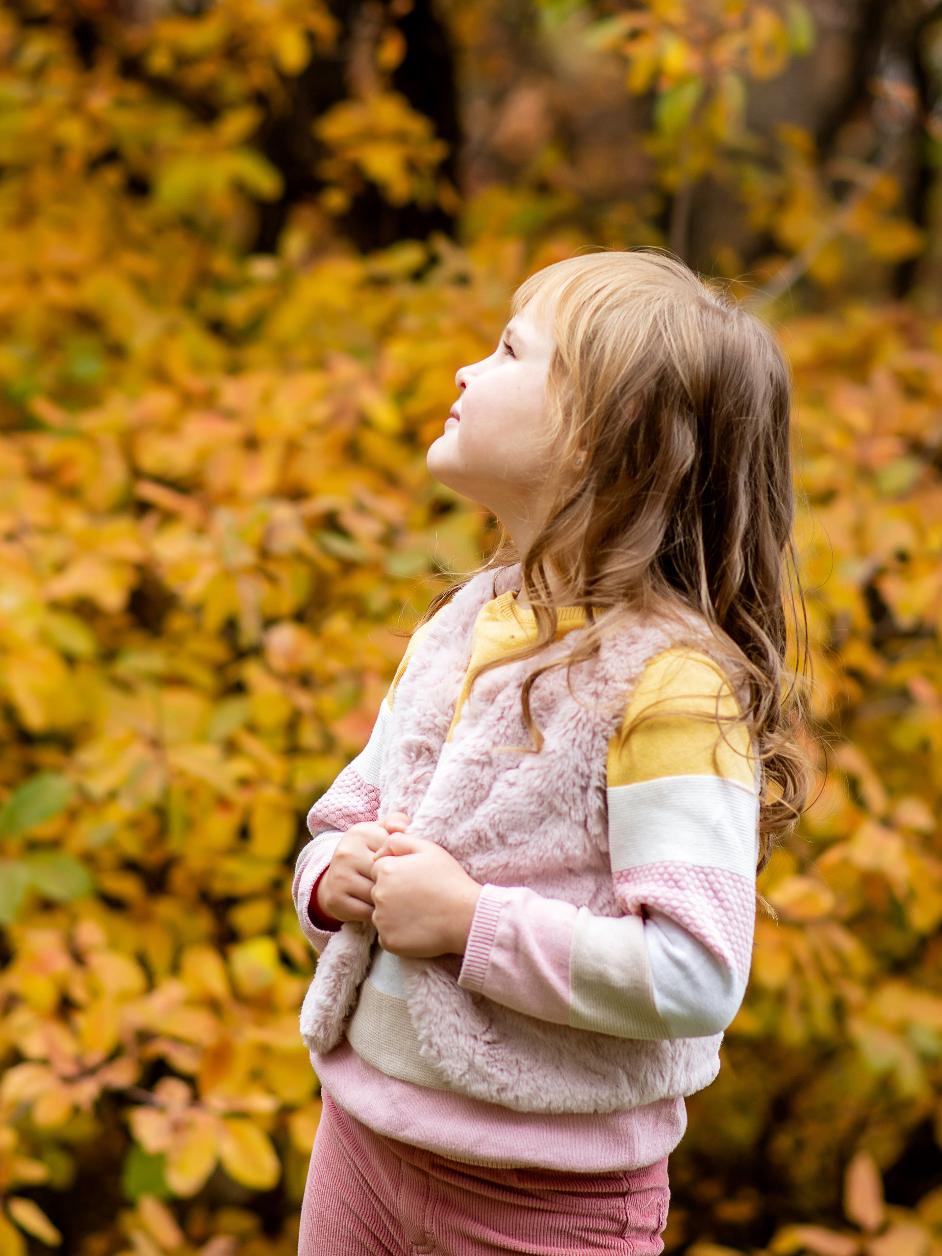 детский фотограф, детская фотосессия, осенняя фотосессия в Севастополе, фотограф стоимость, цена фотосессии Севастополь, детский фотограф Севастополь, осенняя фотосесссия Севастополь, осенняя фотосессия, семейный фотограф Севастополь, услуги фотографа, фотопрогулка в Севастополе, детский портрет
