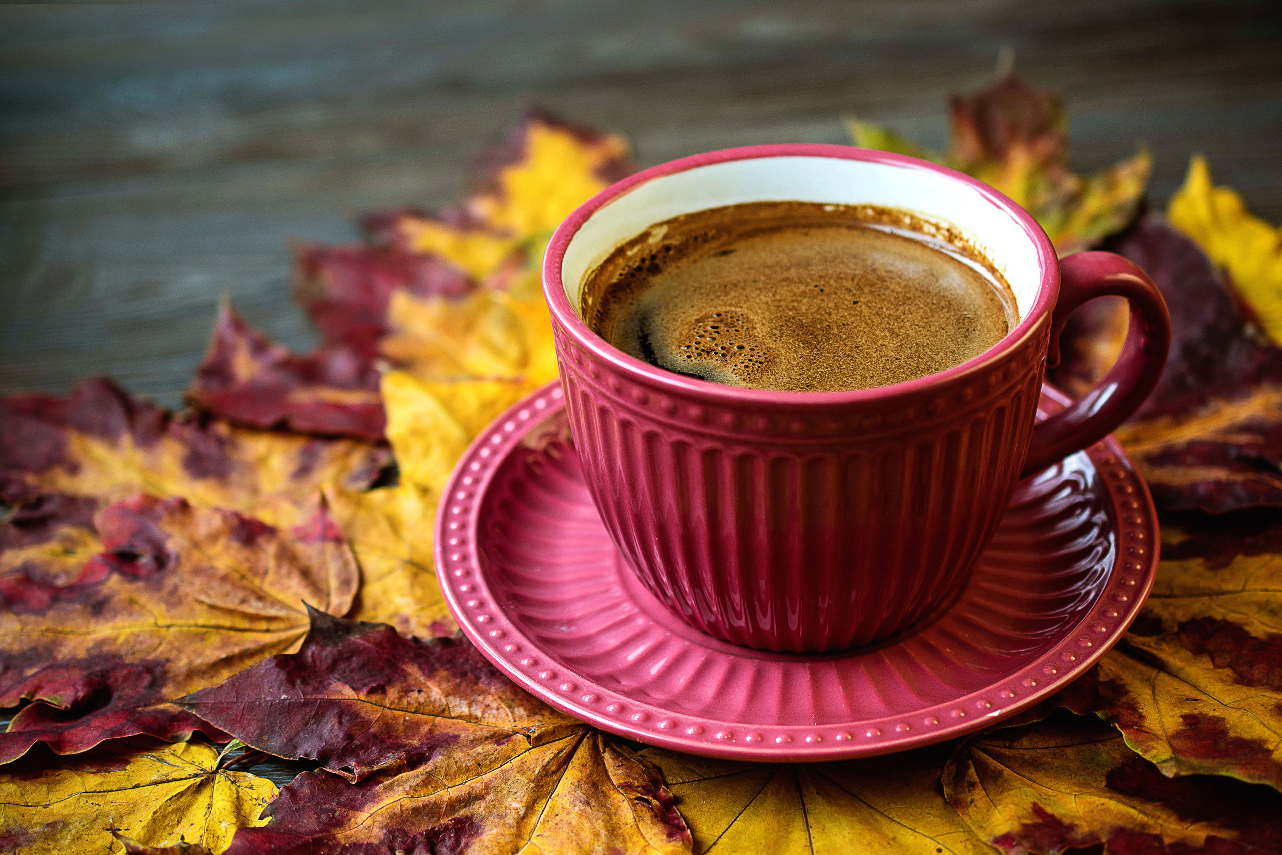 Осеннее вдохновение. Художественная фотография. Фотограф в Москве, Оксана Ребристая