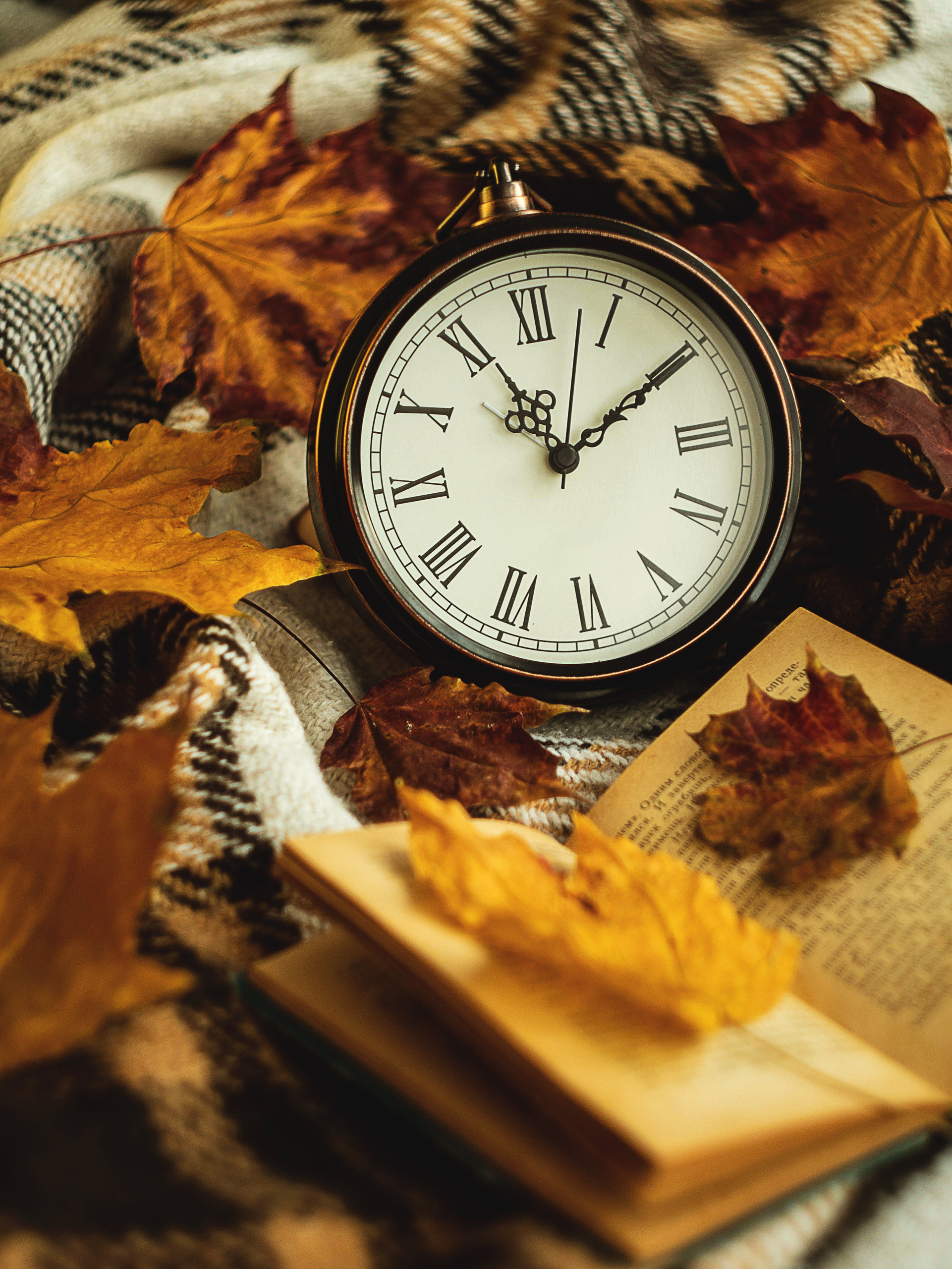 Осеннее вдохновение. Художественная фотография. Фотограф в Москве, Оксана Ребристая