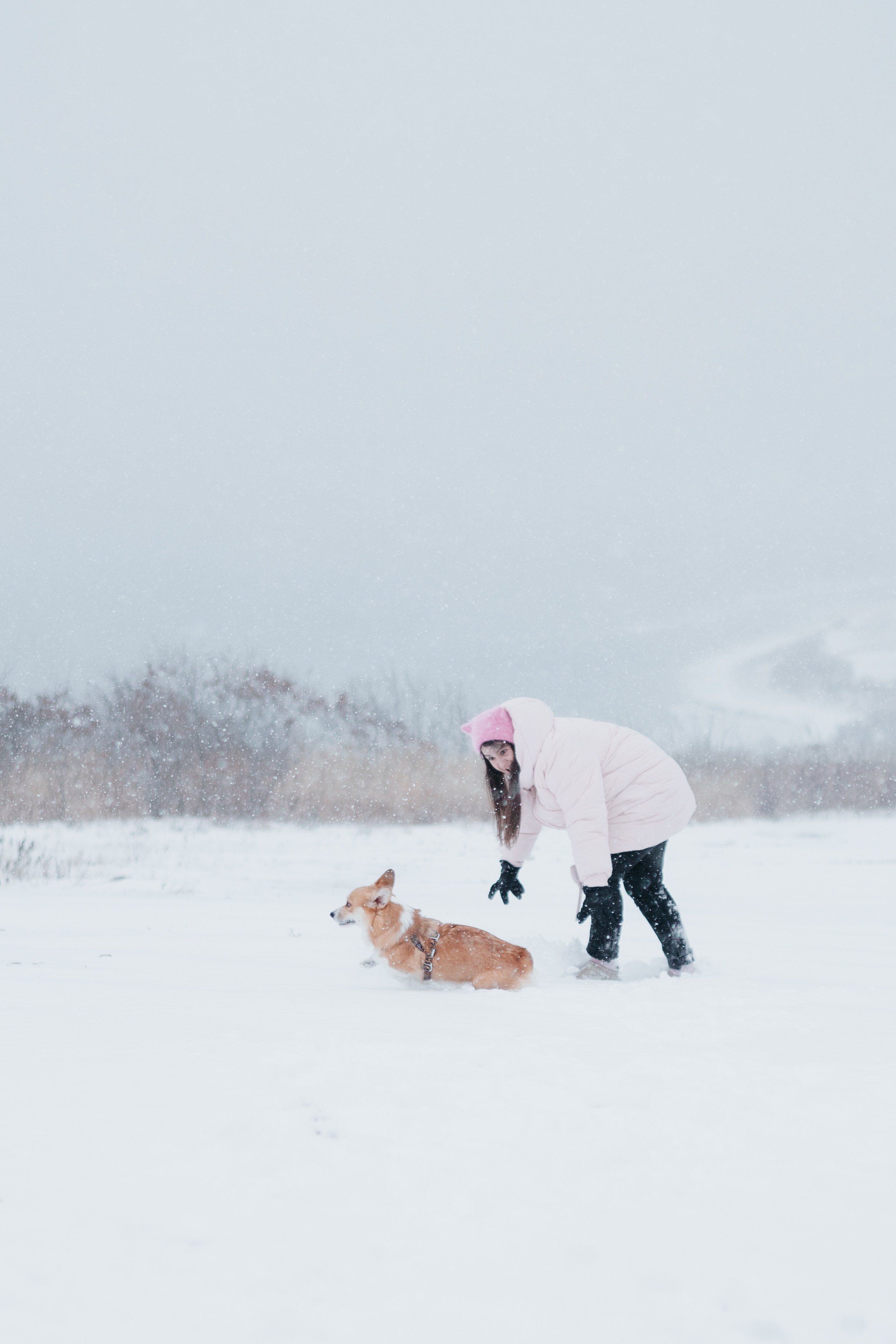 Лена, Лиза и Мия. Фотограф — анималист Владивосток, Алина
