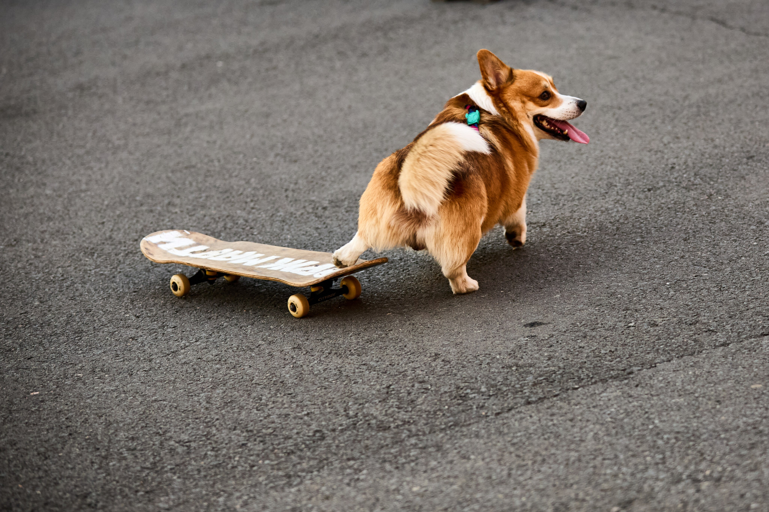 Зарисовки из поездки в Санкт-Петербург. Фотограф Антонина Гудкова