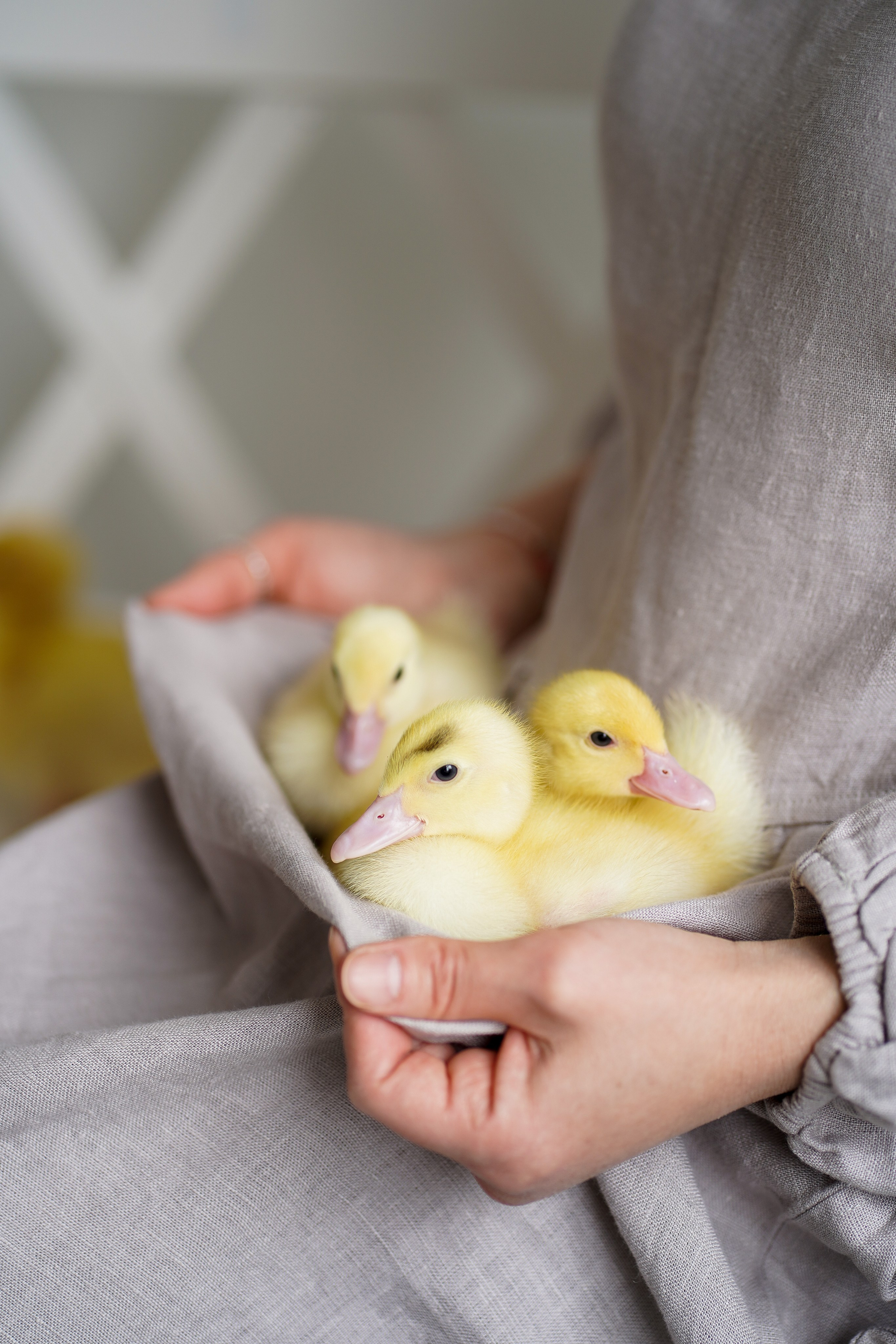 Индивидуальные съемки, репортаж, семейный, детский фотограф