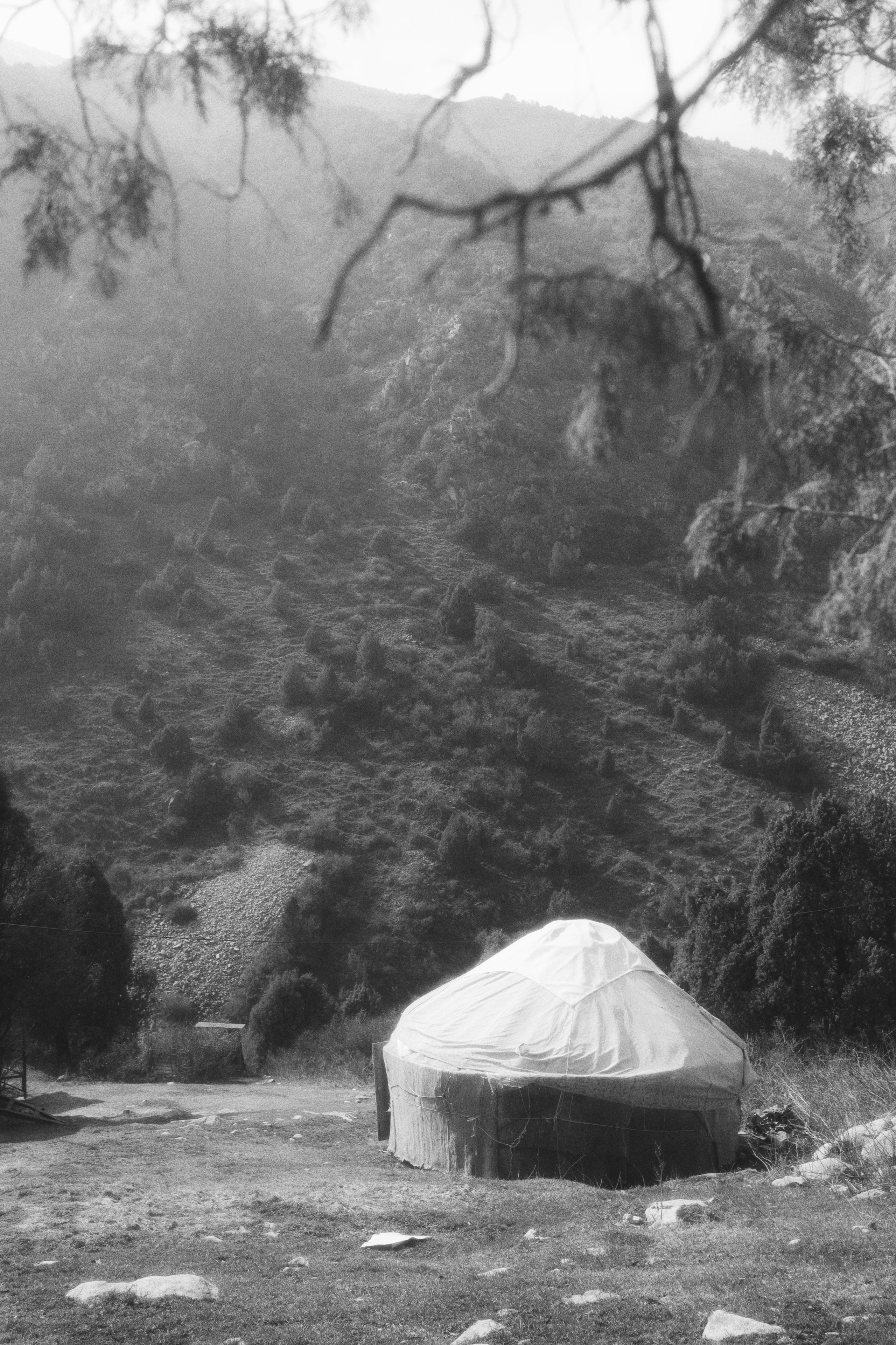 Alamedin valley / Kyrgyzstan 2024. POLINA MÔMOT