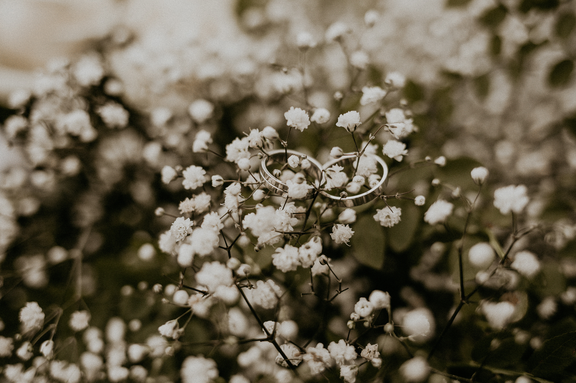 Катя и Сергей. Свадебный фотограф СПб Мадина Сафарян