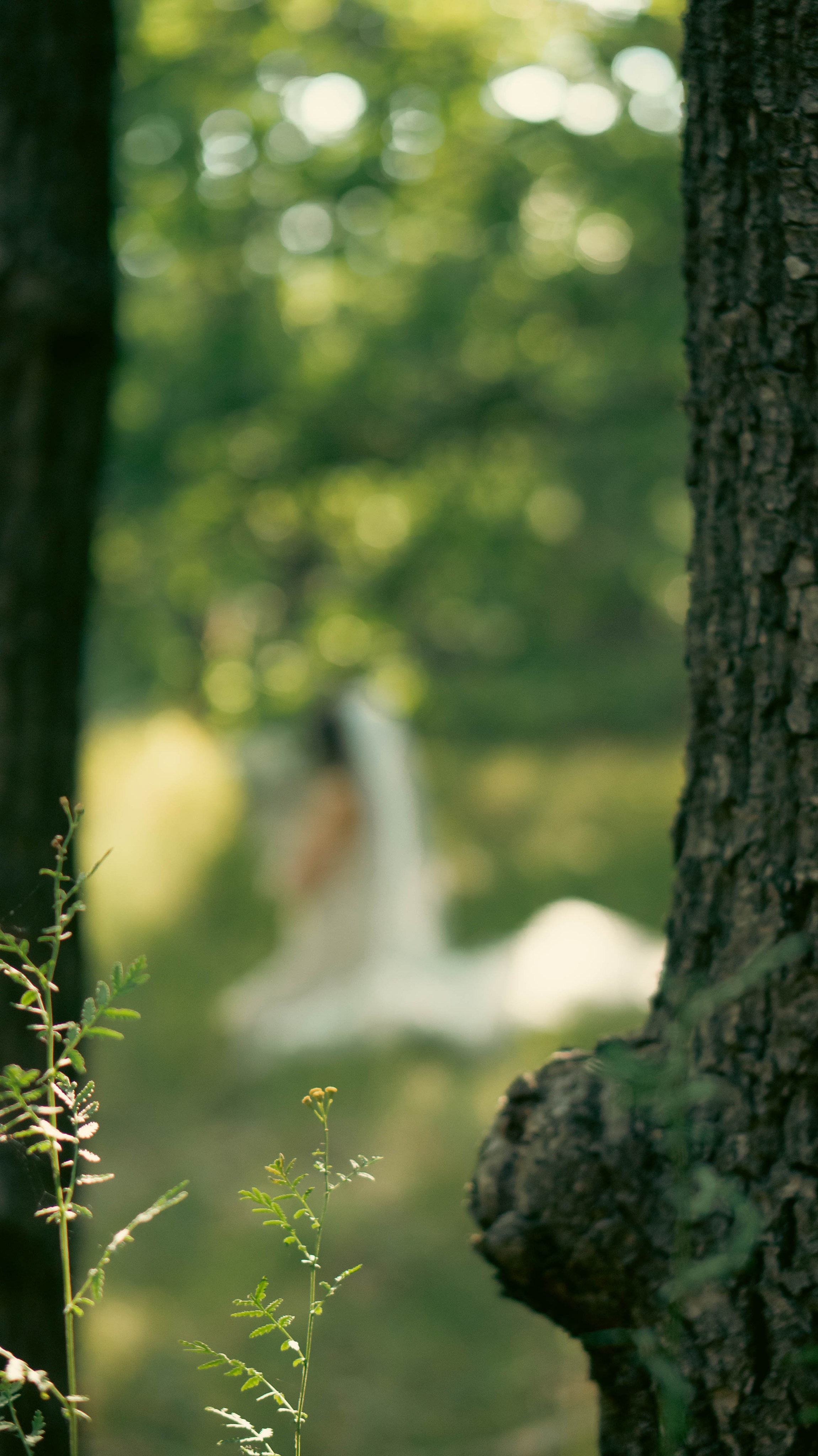 Дпрья. ФОТОГРАФ САРАТОВ