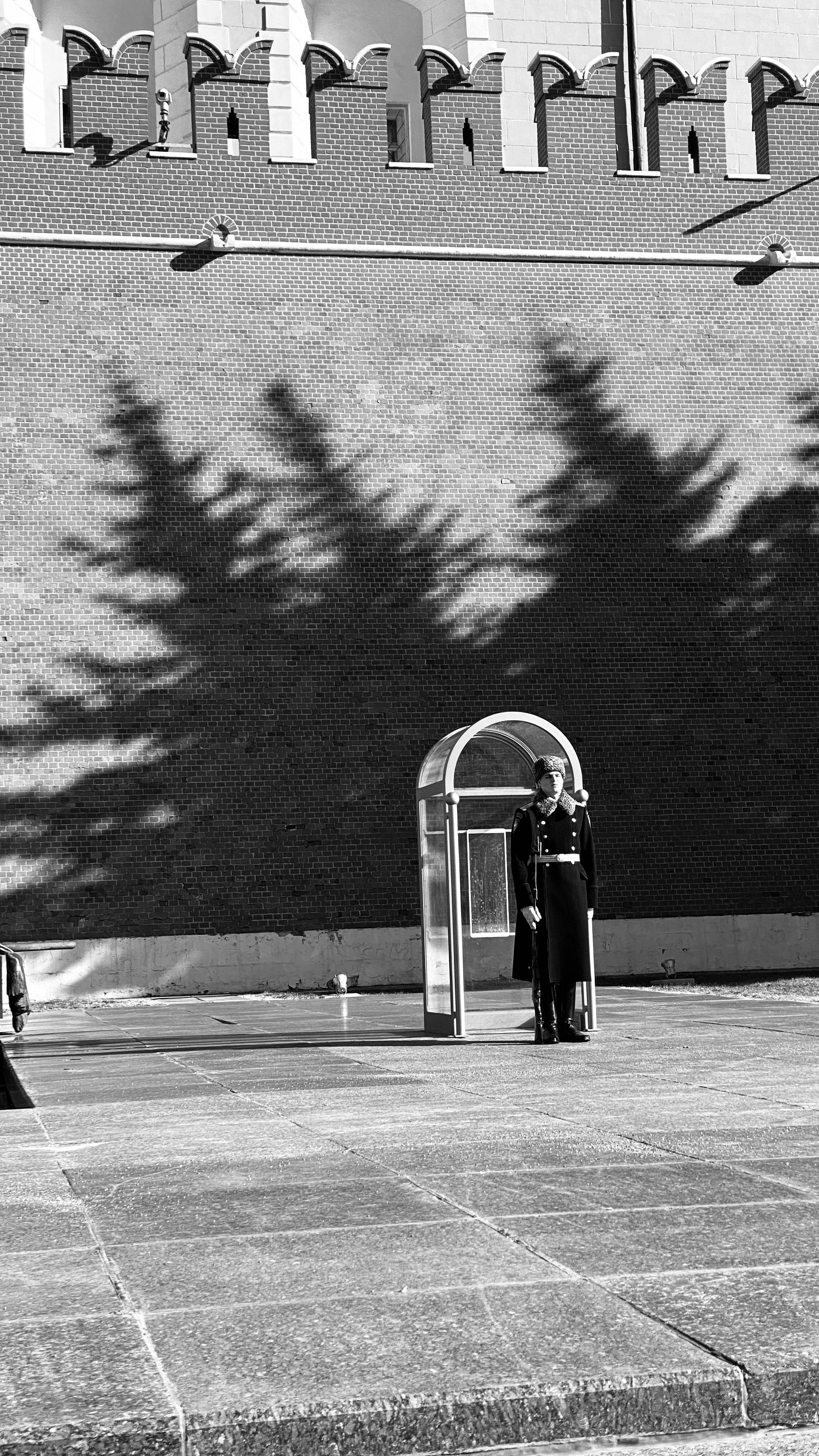 Мобильное фото. Фотограф в Москве Айгуль Евграфова