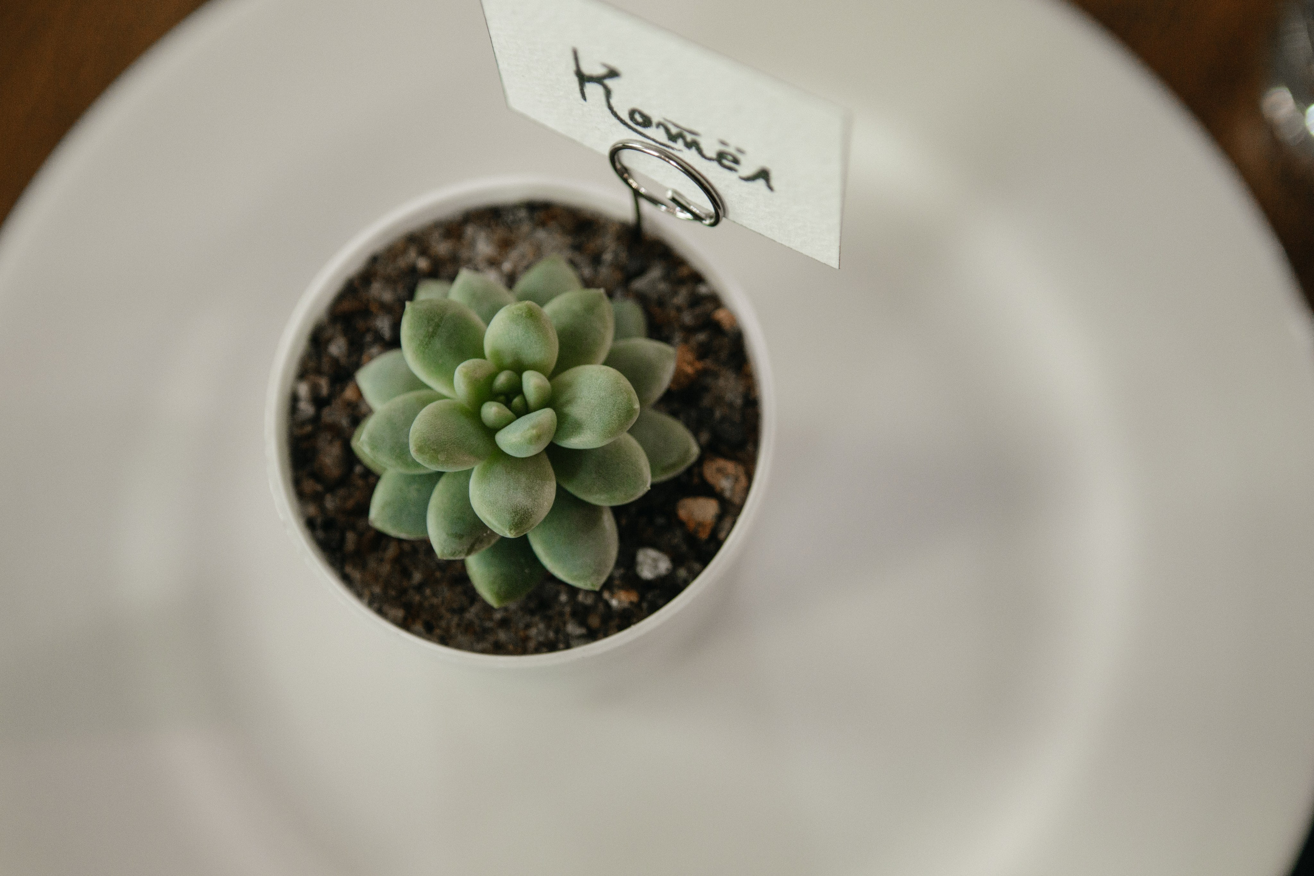 Никита и Сабина. Фотограф в Саратове Сабина Иманова