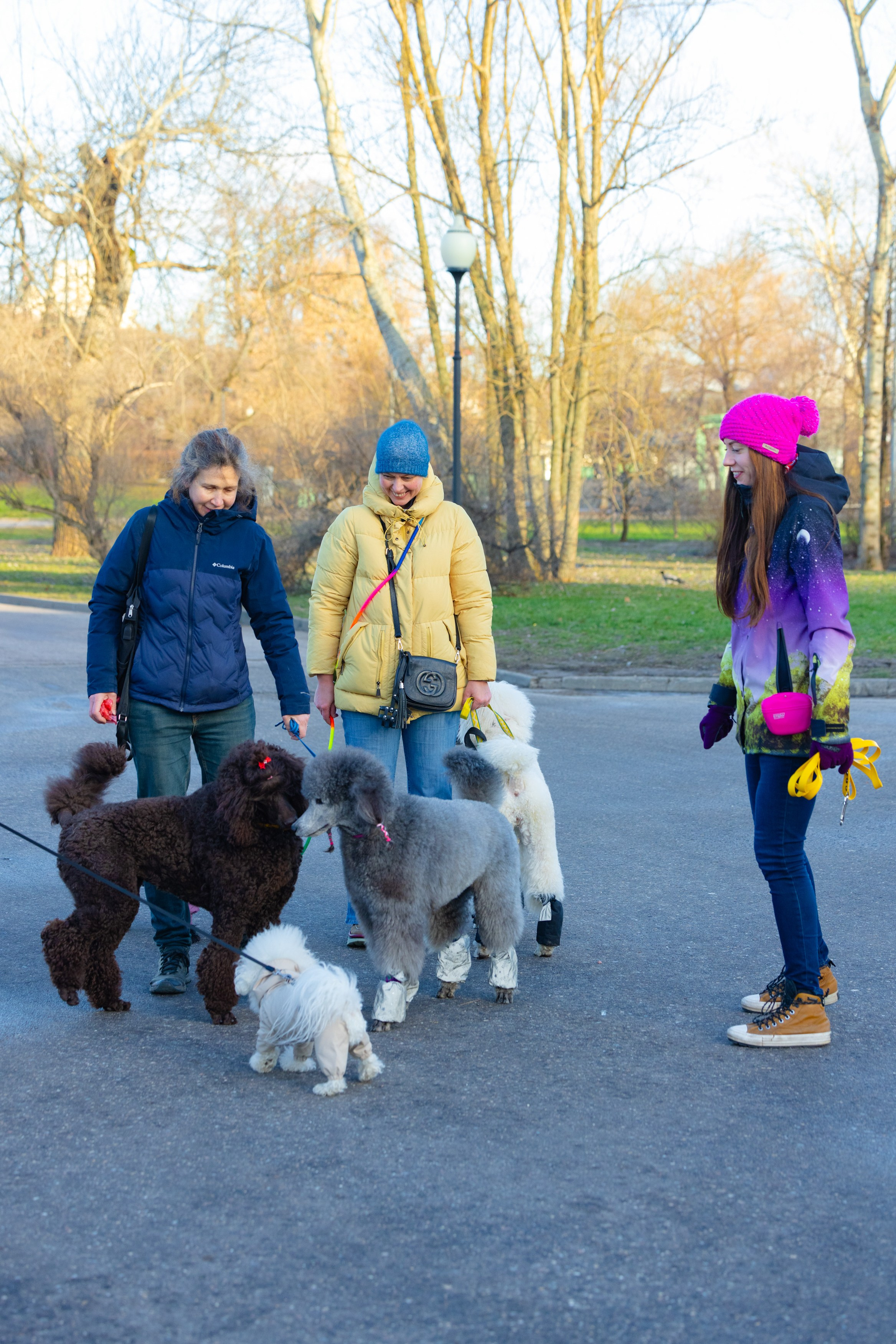 Клуб грумеров (прогулка и семинары). Виктория Зудина — фотограф в Москве