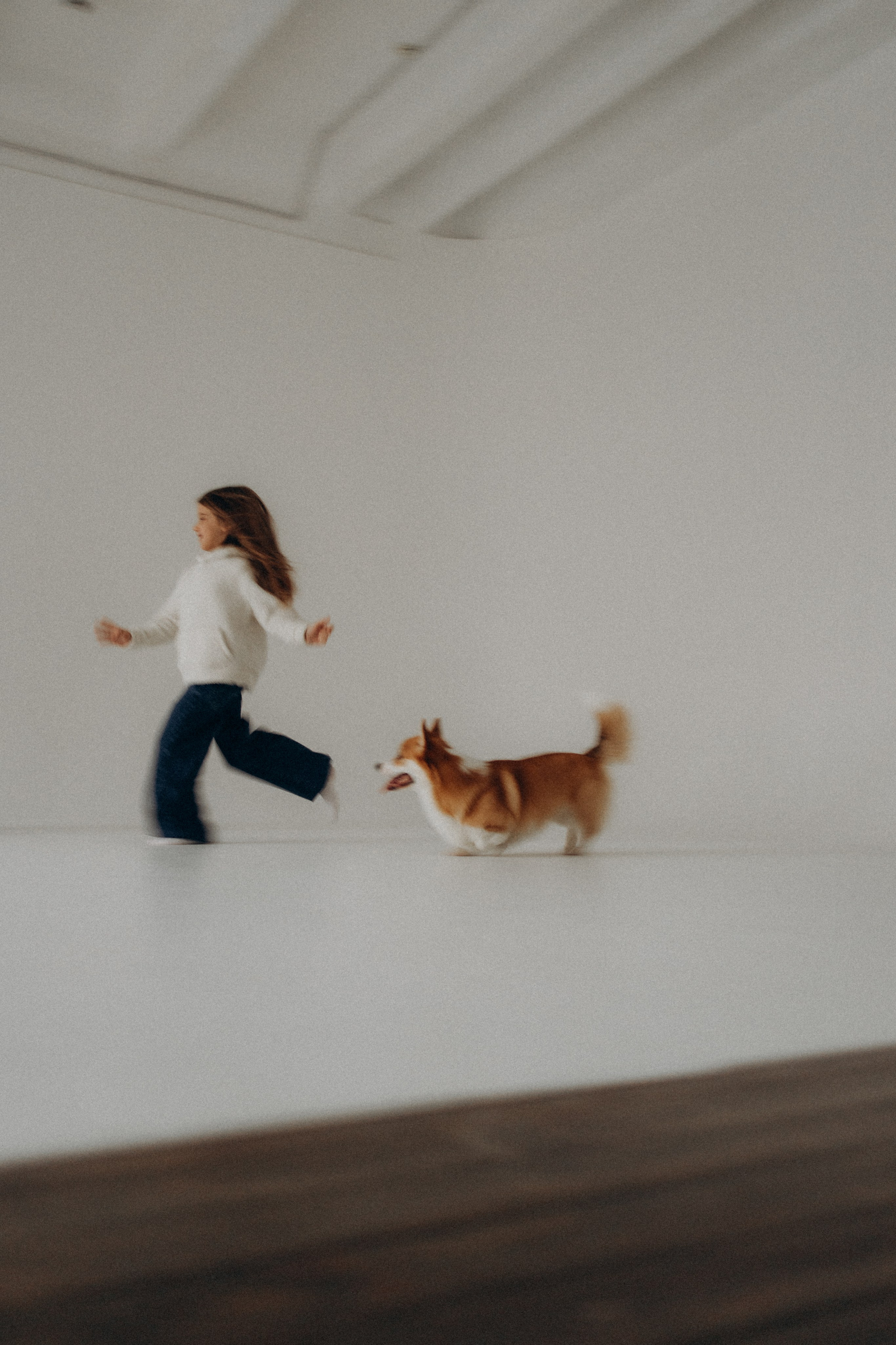 Зевс и его семья. Фотораф — анималист Мария Шистка