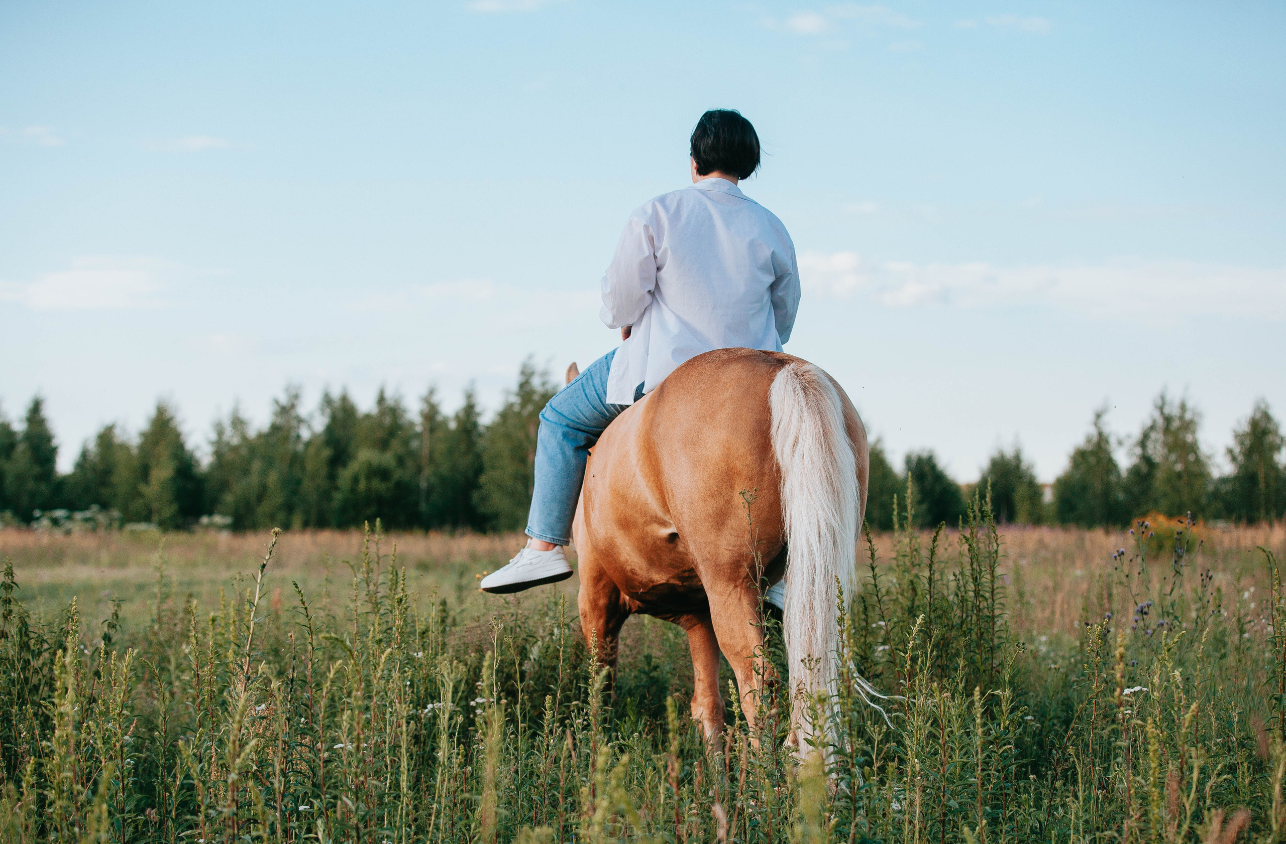 Алина и Гешефт. Главная