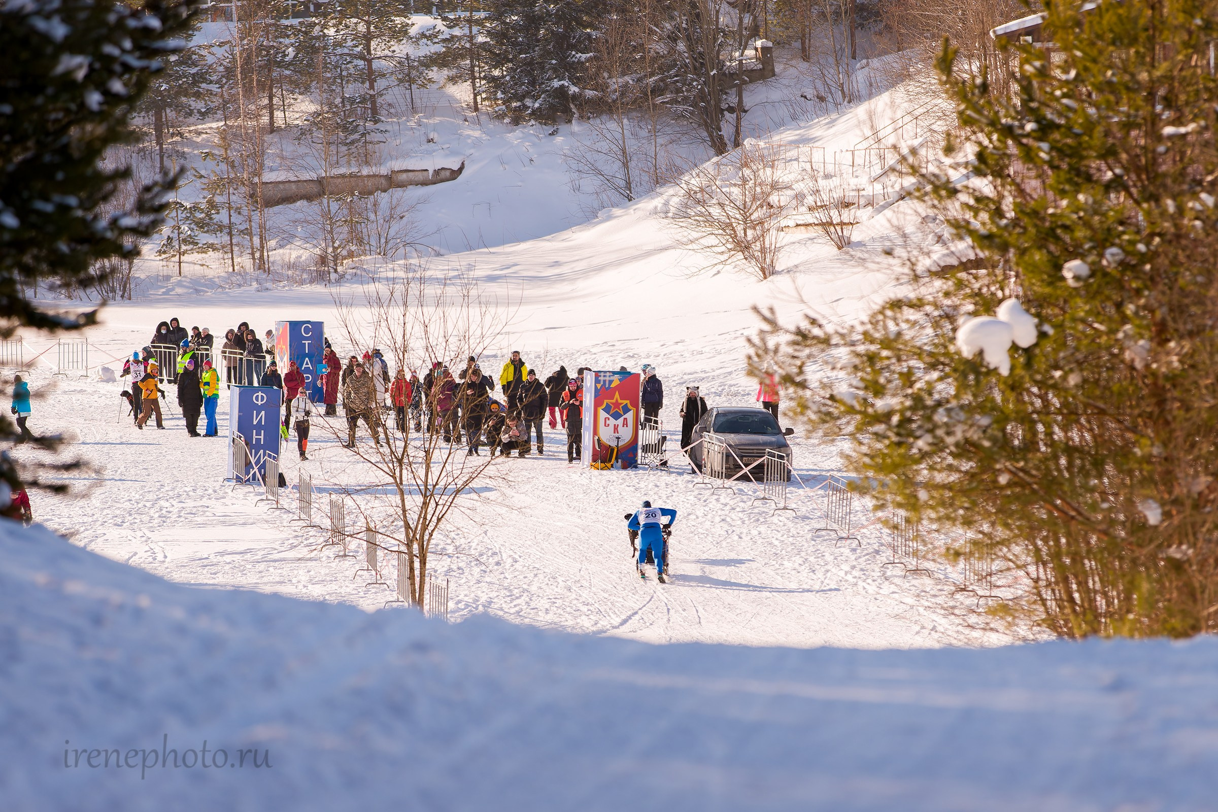 Чемпионат и Первенство Ленобласти — зима 2026. Irenephoto.ru