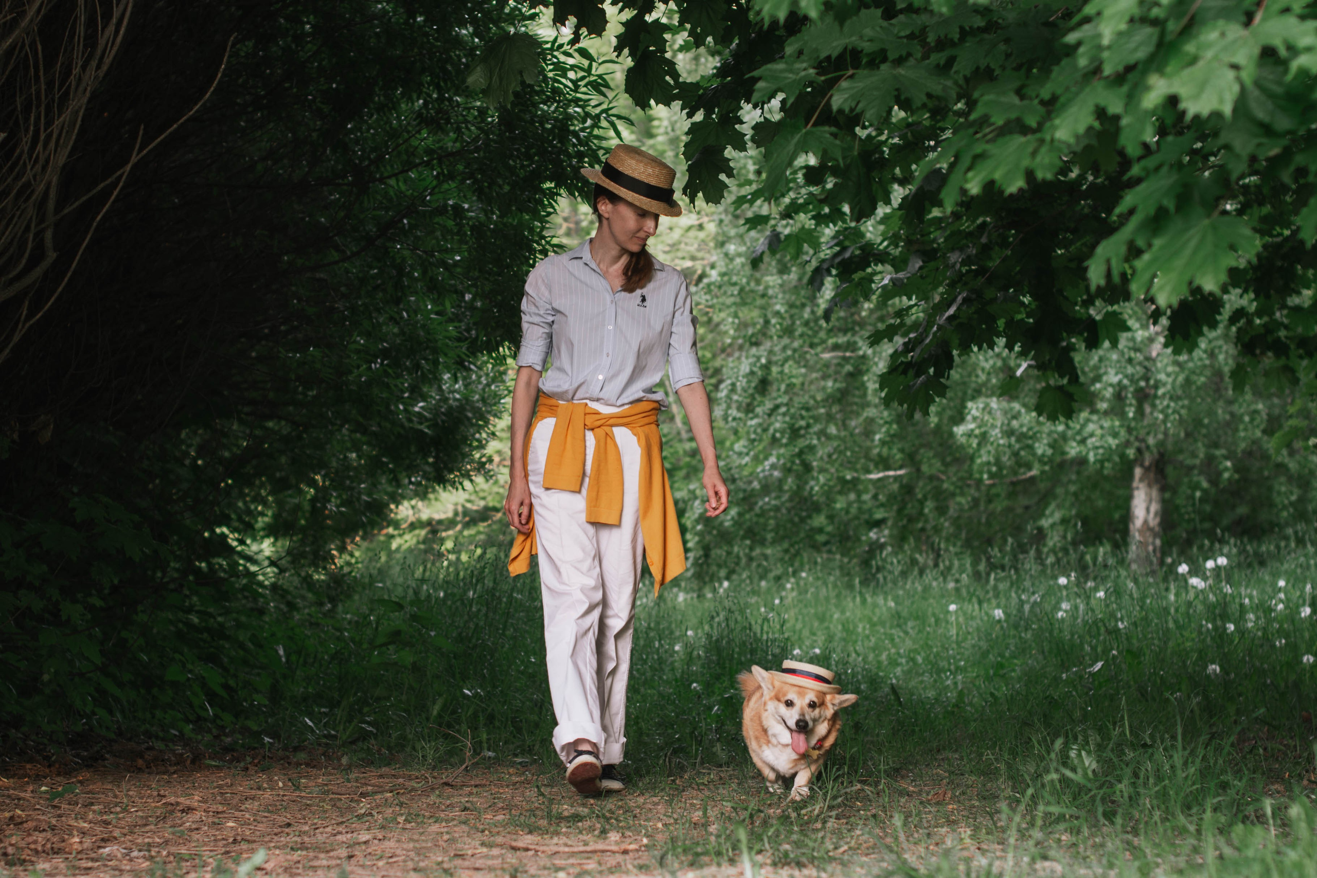 Репортаж встречи владельцев собак породы корги. Фотограф собак, анималист в Москве Кира Яковлева