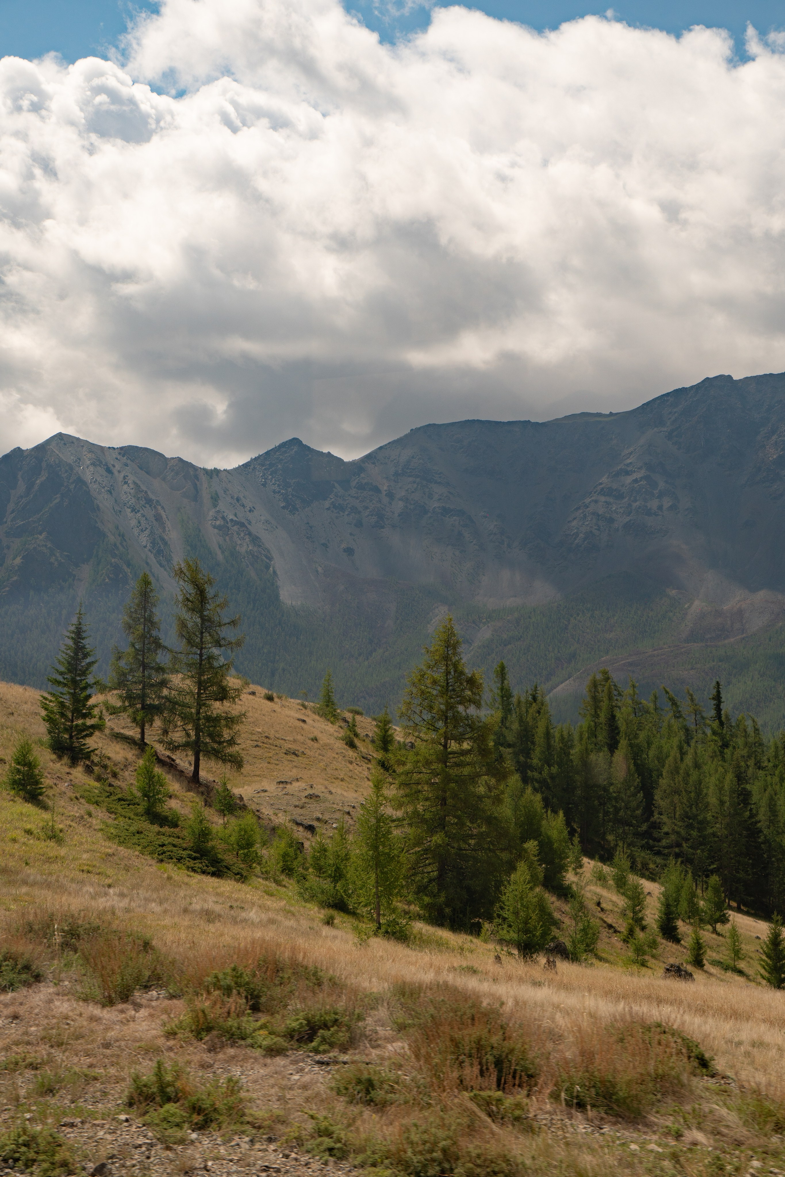 Алтай. Gusarov Travel Photography