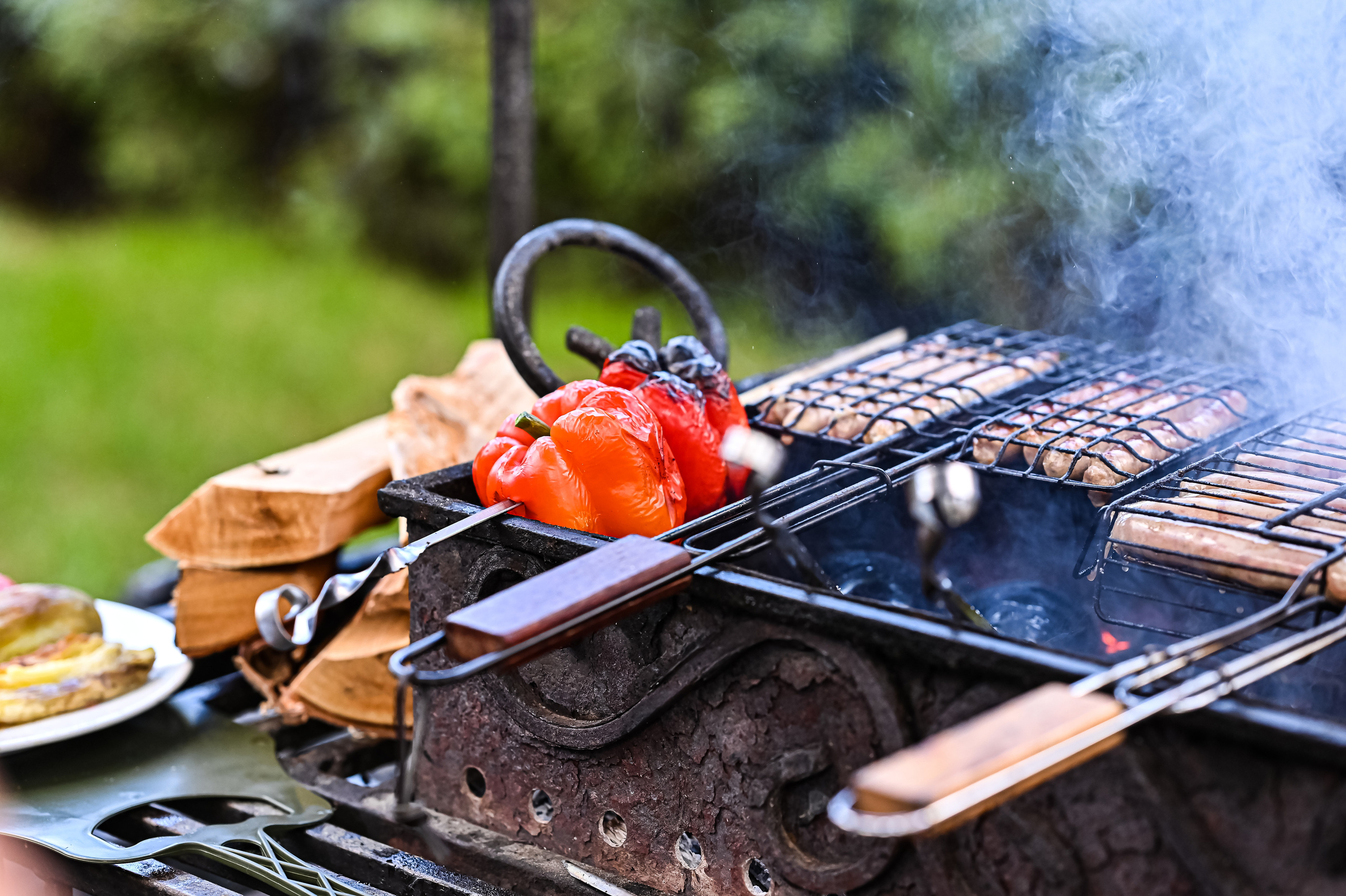 БИЗНЕС-ПИКНИК. ZDARONOKIA Репортажный фотограф