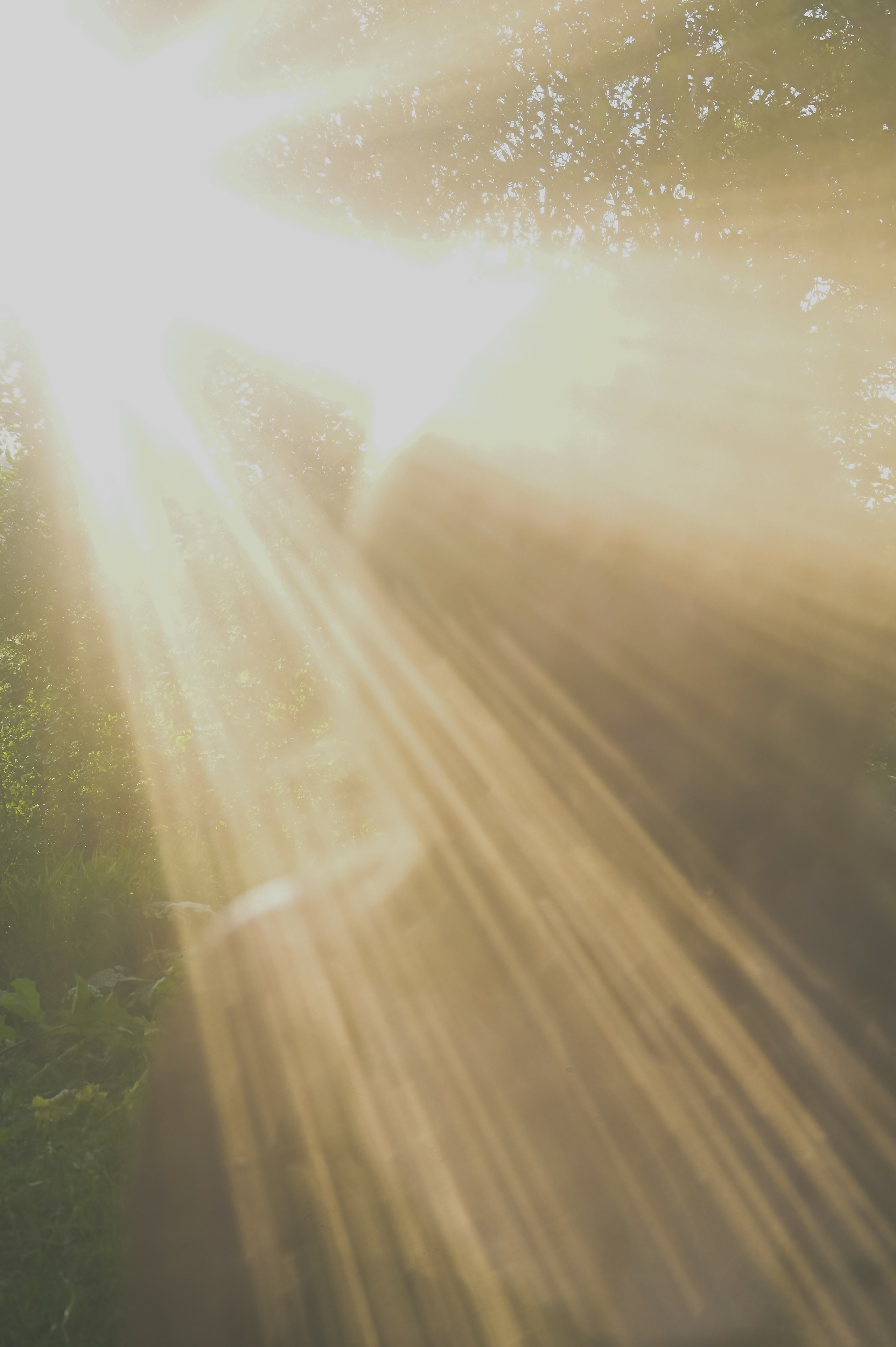 . ZDARONOKIA Репортажный фотограф