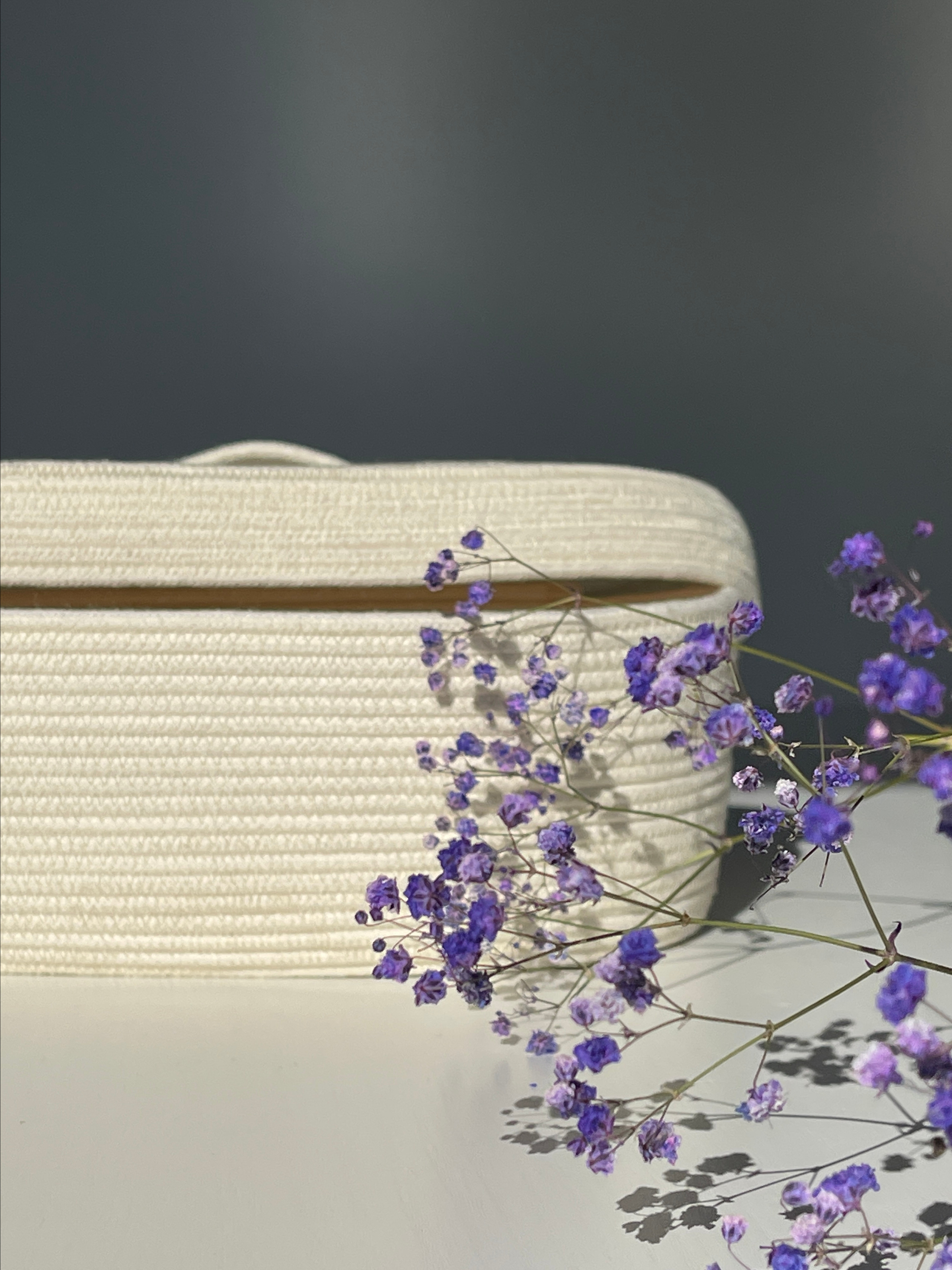 . ZDARONOKIA Репортажный фотограф