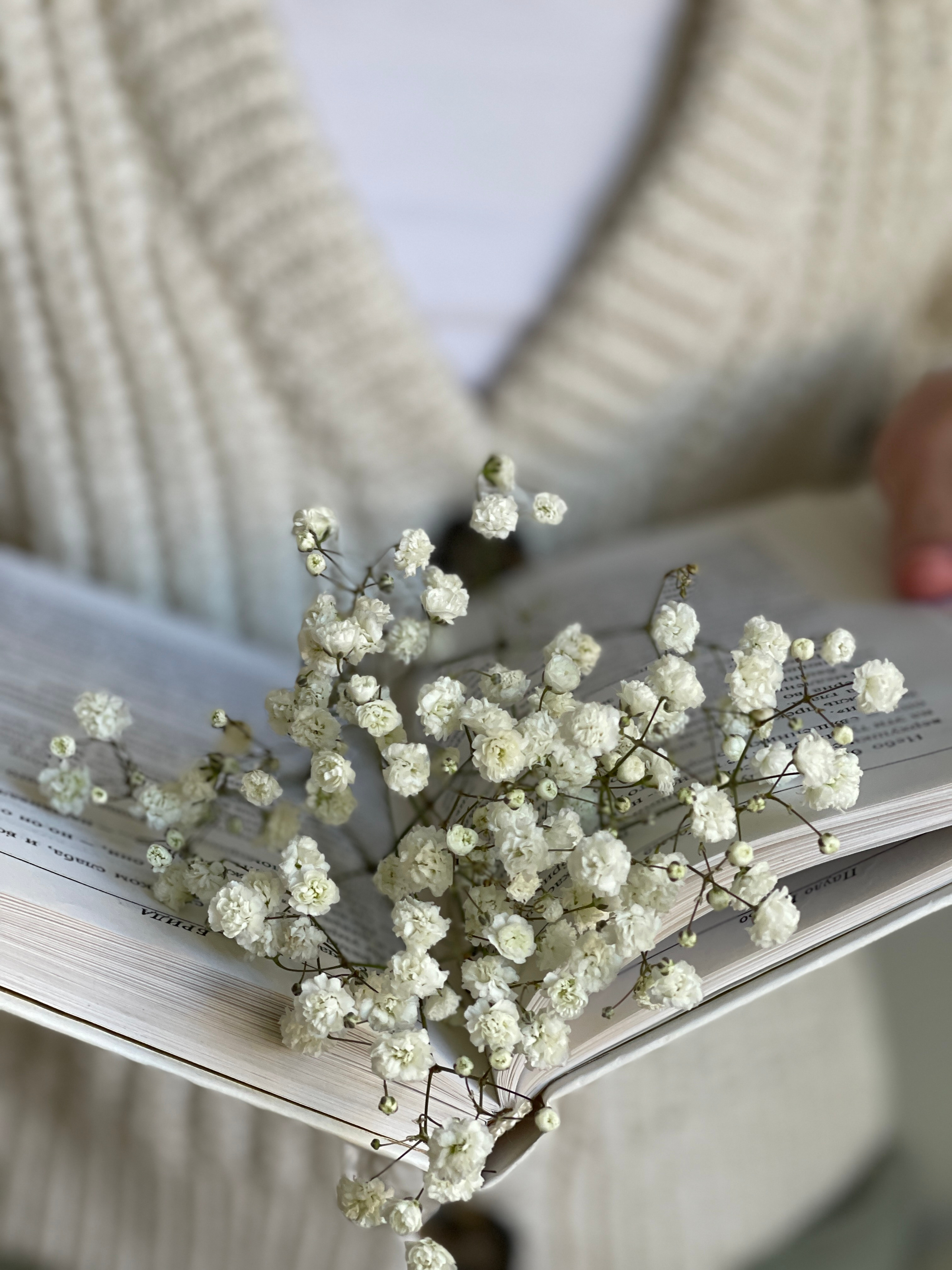 . ZDARONOKIA Репортажный фотограф