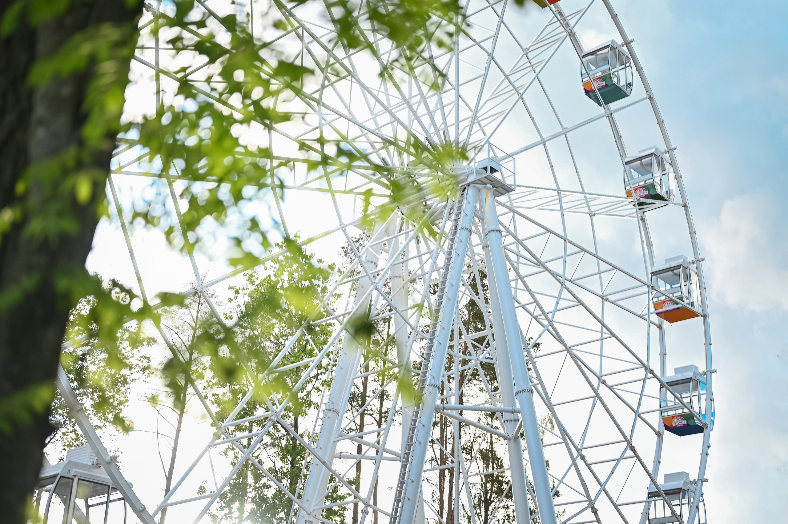 БИЗНЕС-ПИКНИК. ZDARONOKIA Репортажный фотограф