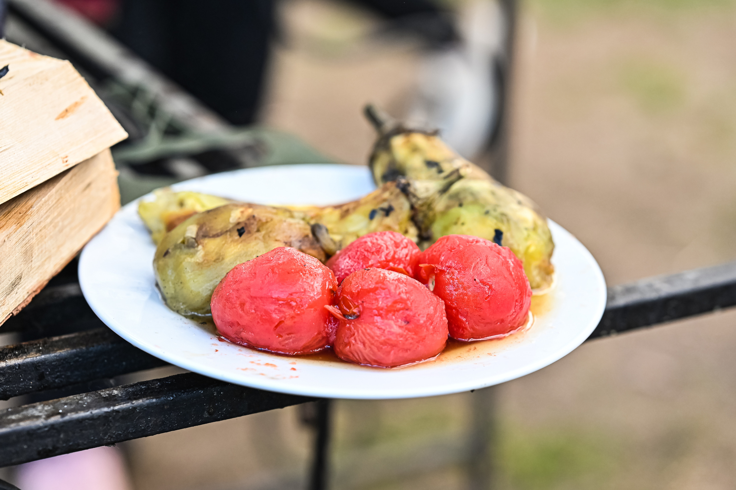 БИЗНЕС-ПИКНИК. ZDARONOKIA Репортажный фотограф