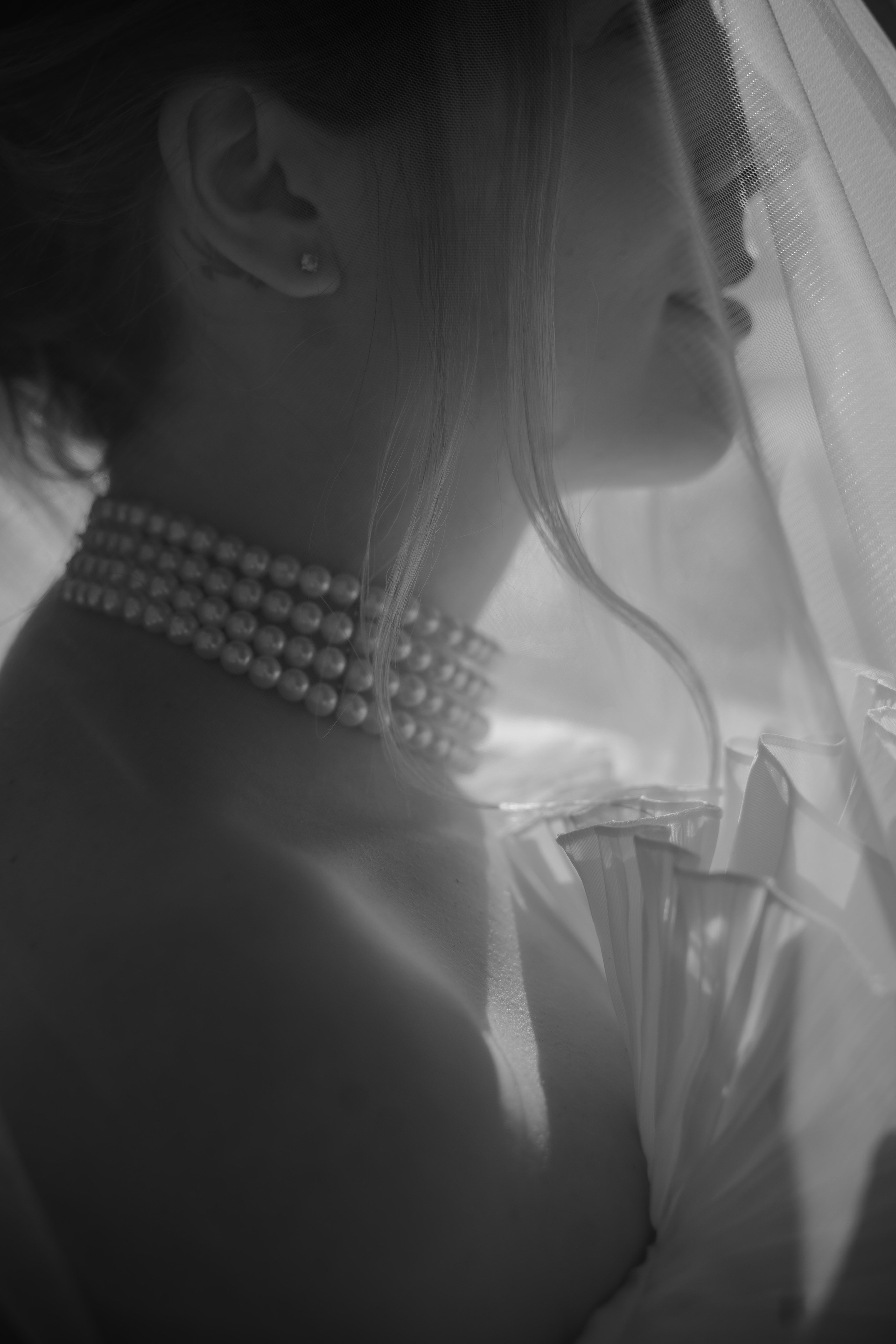 Вероника и Александр. Фотограф Аля Овчарова