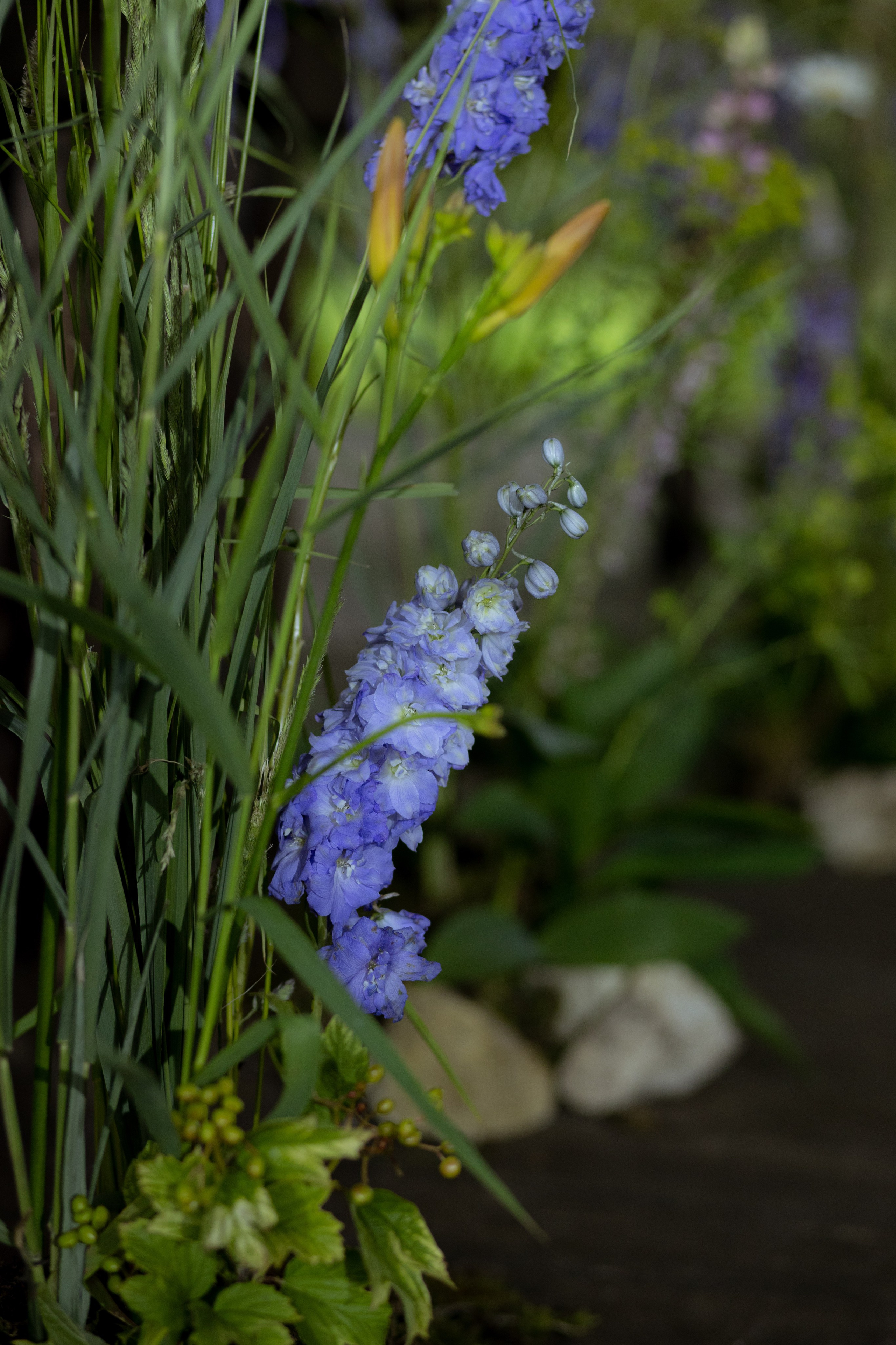 Павел & Полина. Оформление свадеб, декор свадеб Вера Маркова, Москва