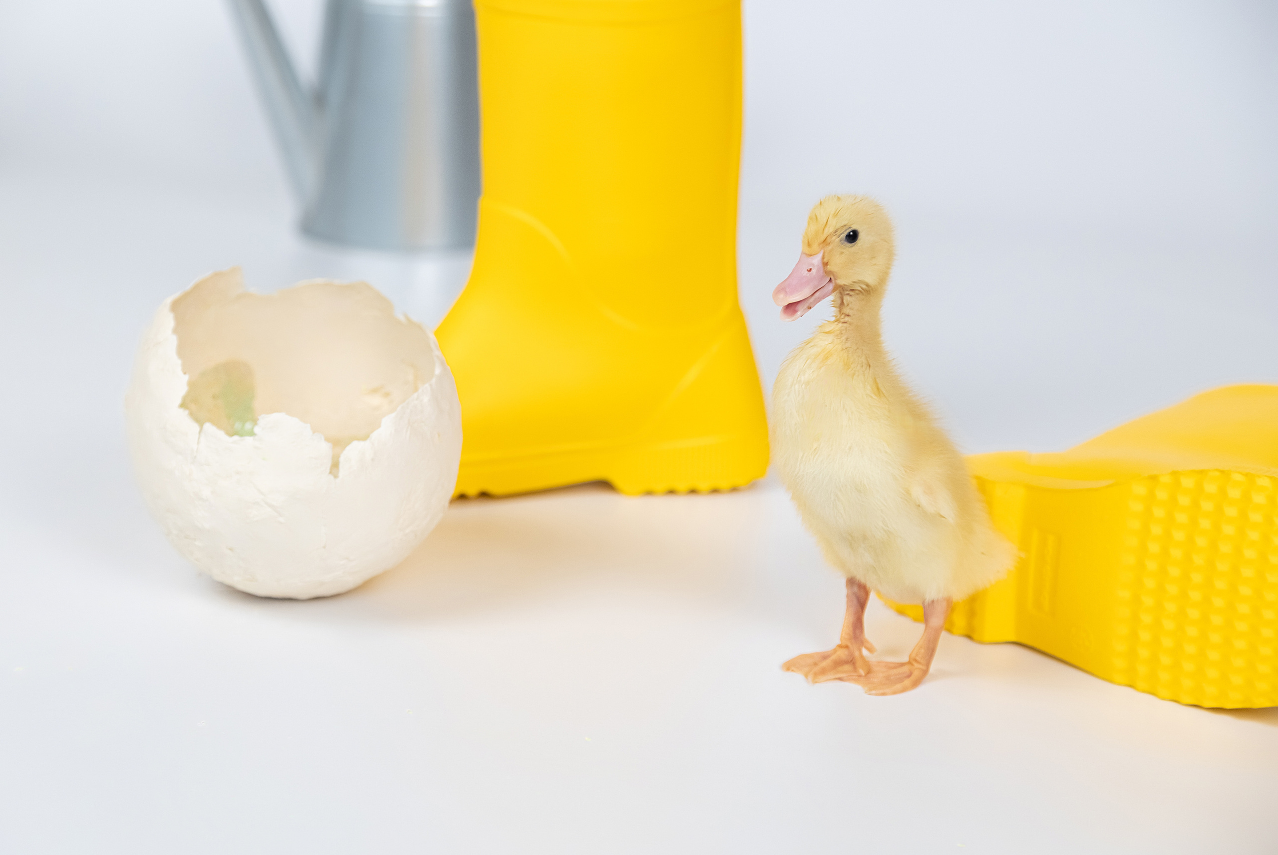 Детские фотографии в студии. Галина Шарапова Детский и семейный фотограф Москва