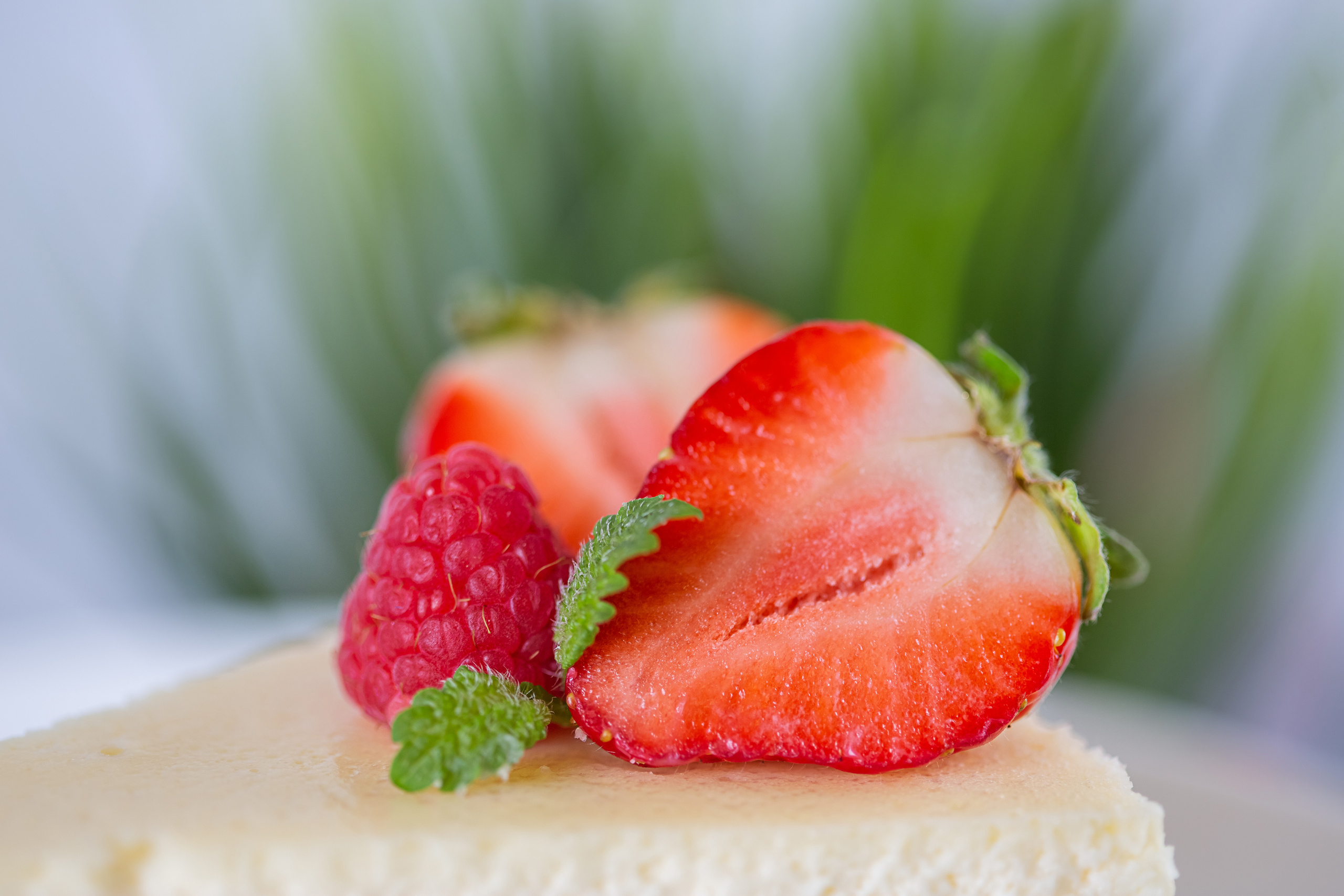 Контент для кондитера. Галина Шарапова Детский и семейный фотограф Москва