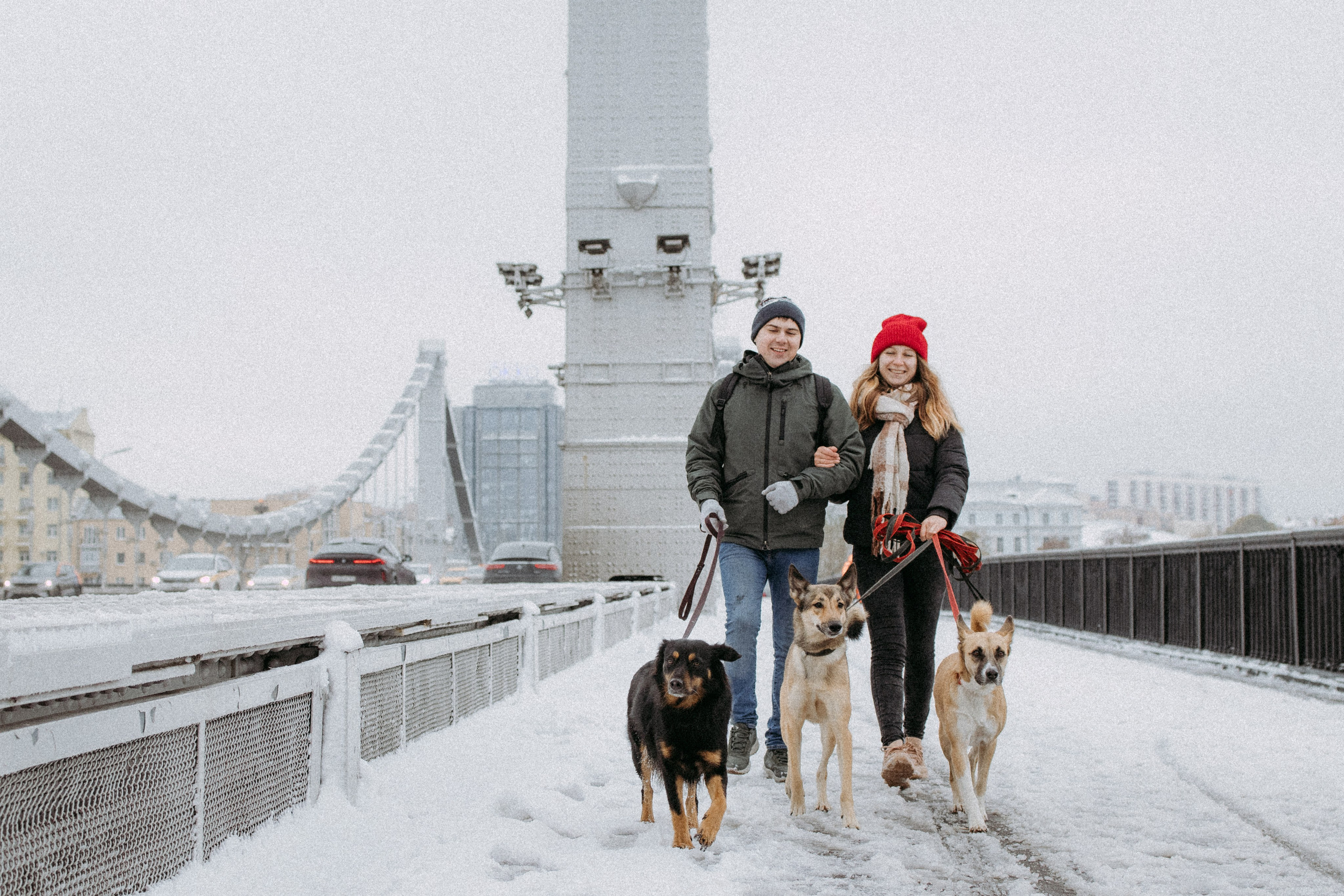 Саша, Ксюша и их банда. Фотораф — анималист Мария Шистка