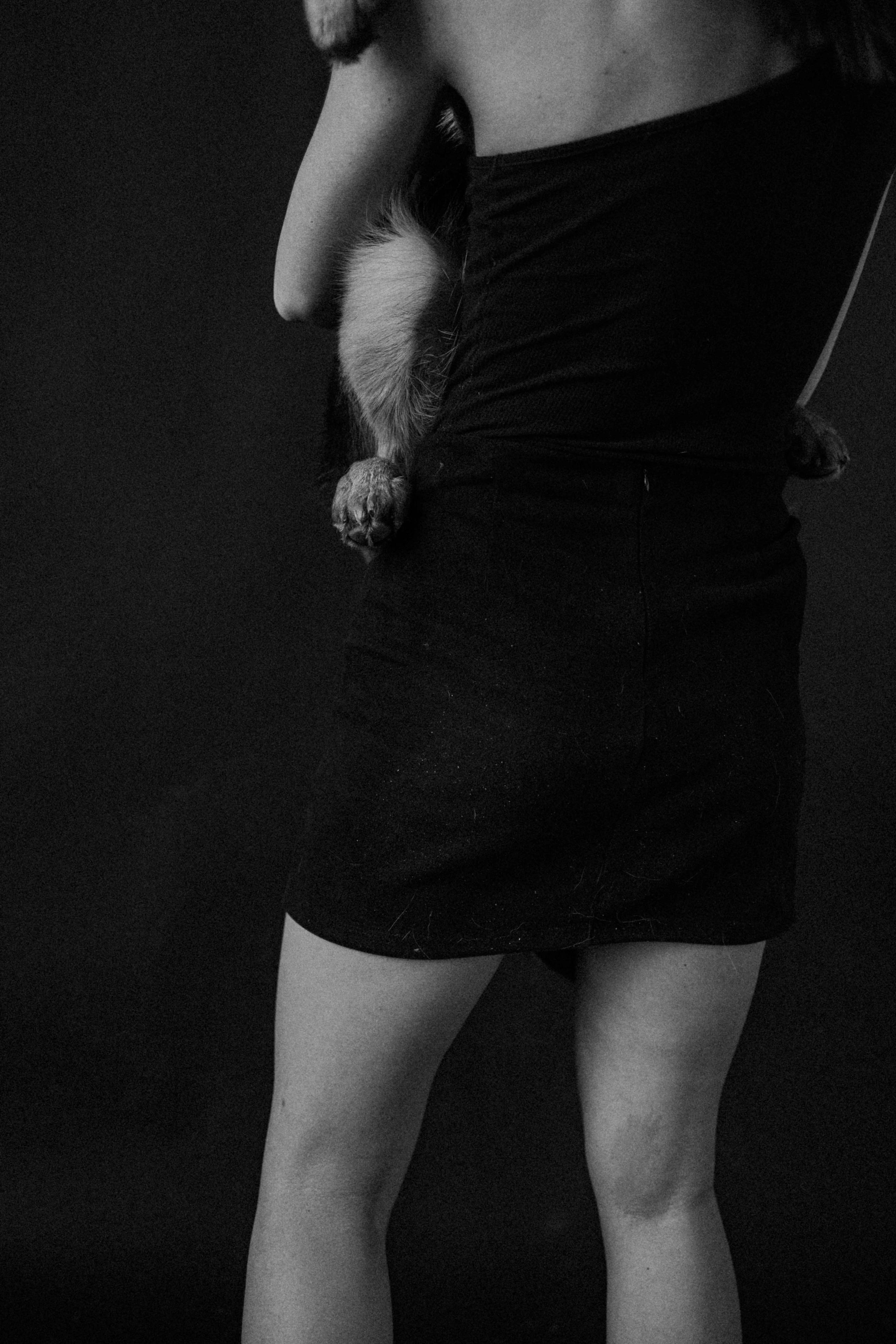 Ася и Буся. Фотограф-анималист в Москве Лера Черноног