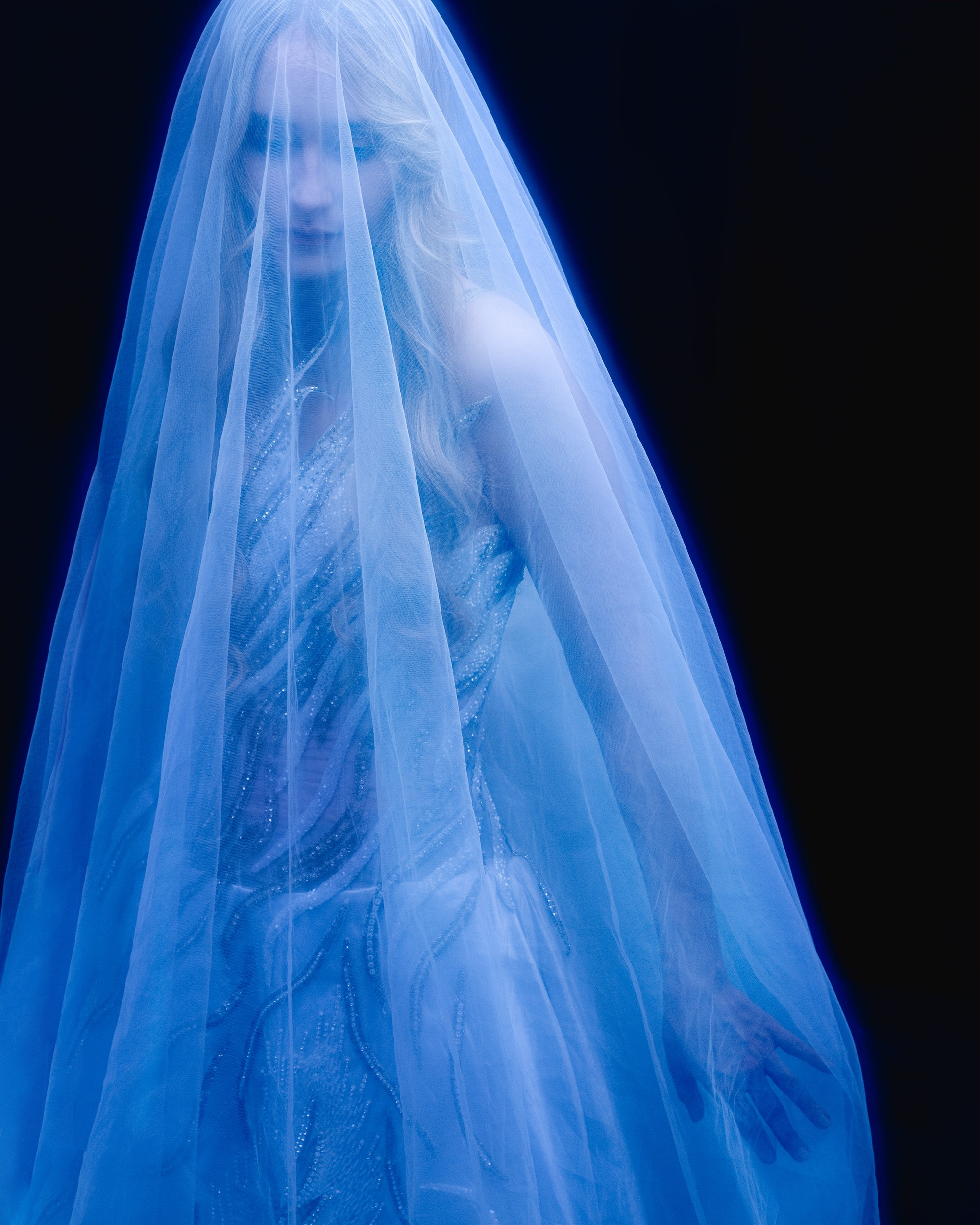 ELLI NA MAKOVOM POLE. Фотограф Анна Апрельская Москва| Moscow Anna Aprelskaya Photographer