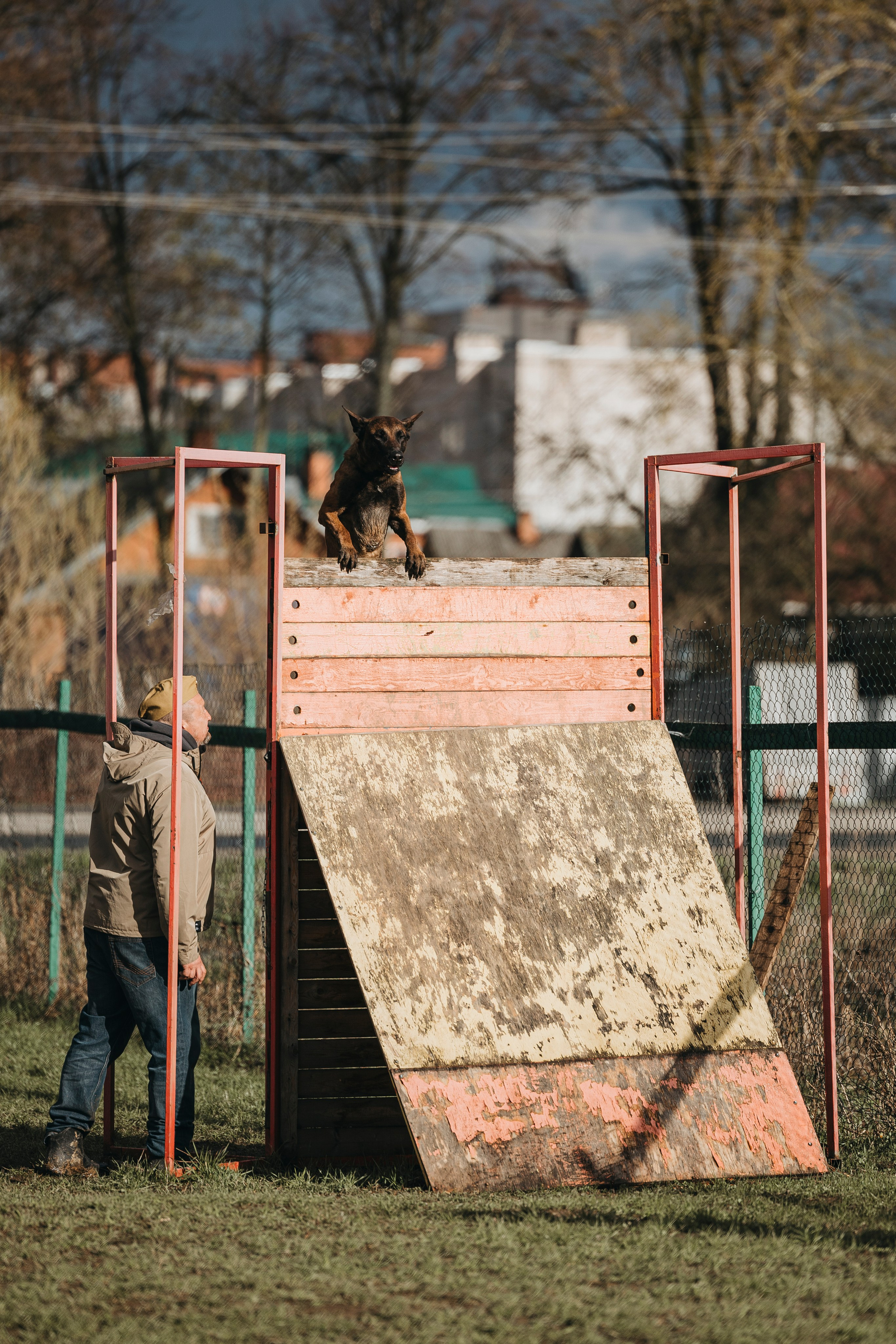 09.05.25 Вологда соревнования. Фотограф-анималист Анна Маринич