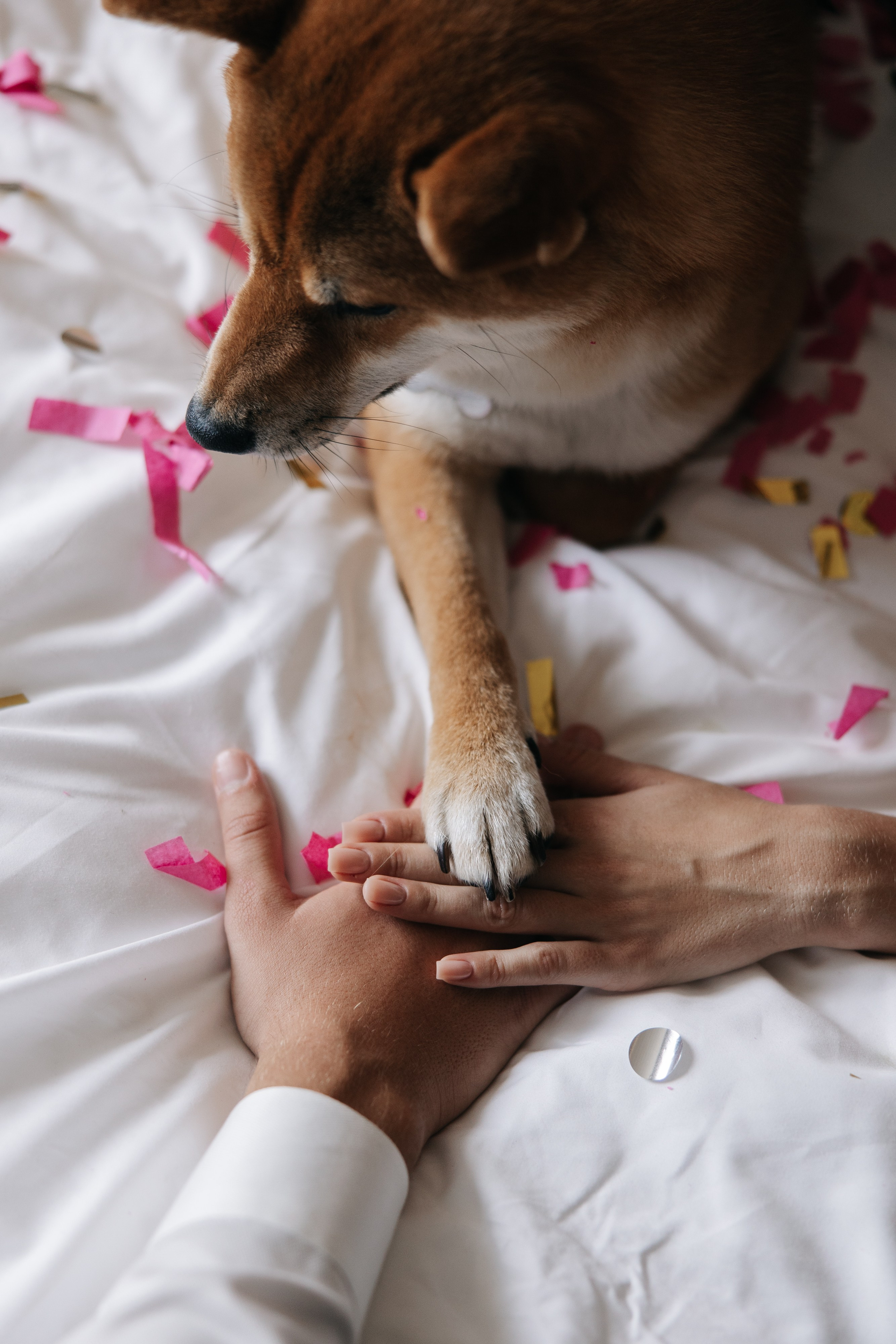 Вероника и Денис. Свадебный фотограф в Санкт-Петербурге Екатерина Евсеева