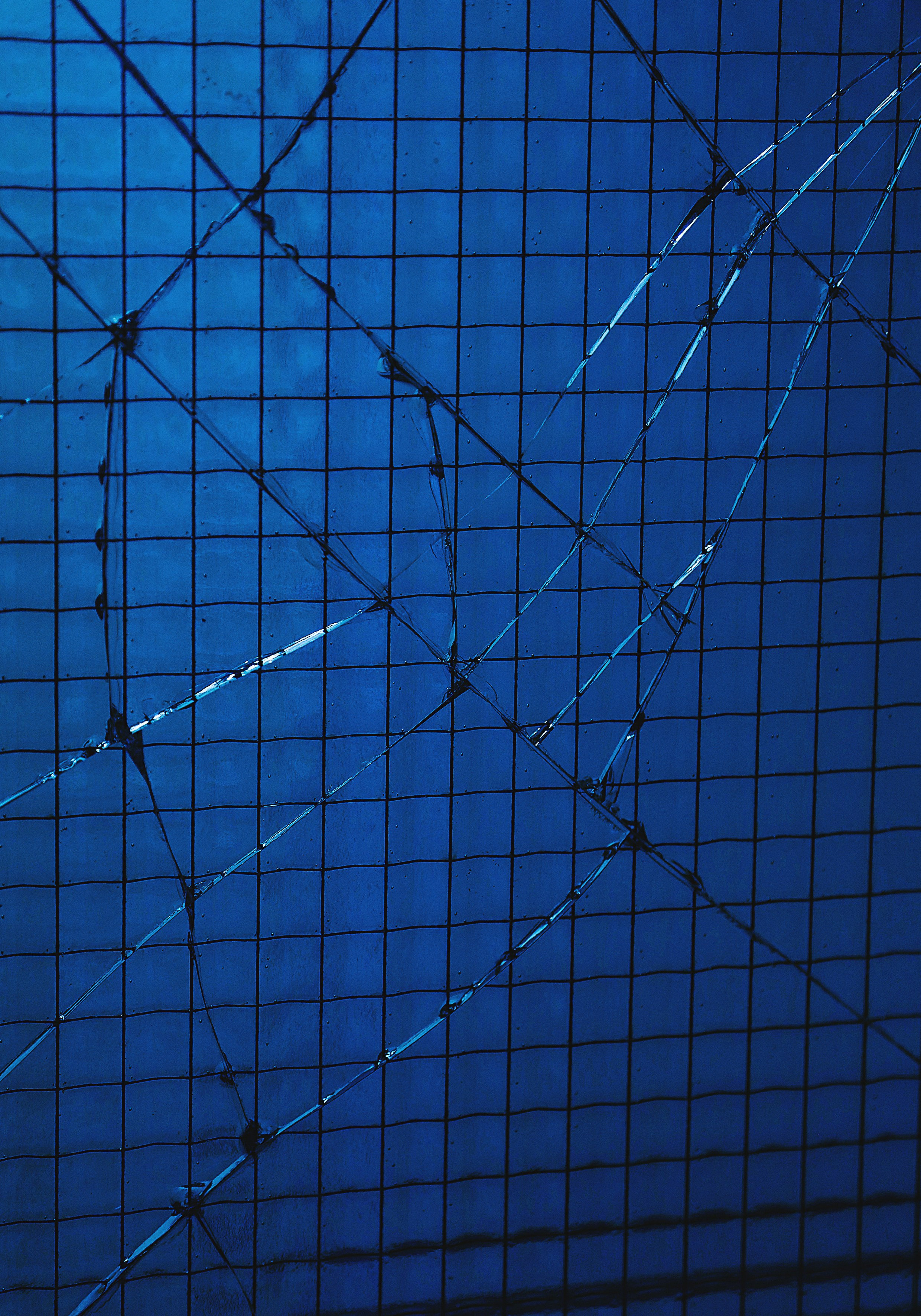 Проект «366»|2024|Фото каждый день. LENA GRACE photographer ||ЛЕНА ГРЭЙС фотограф