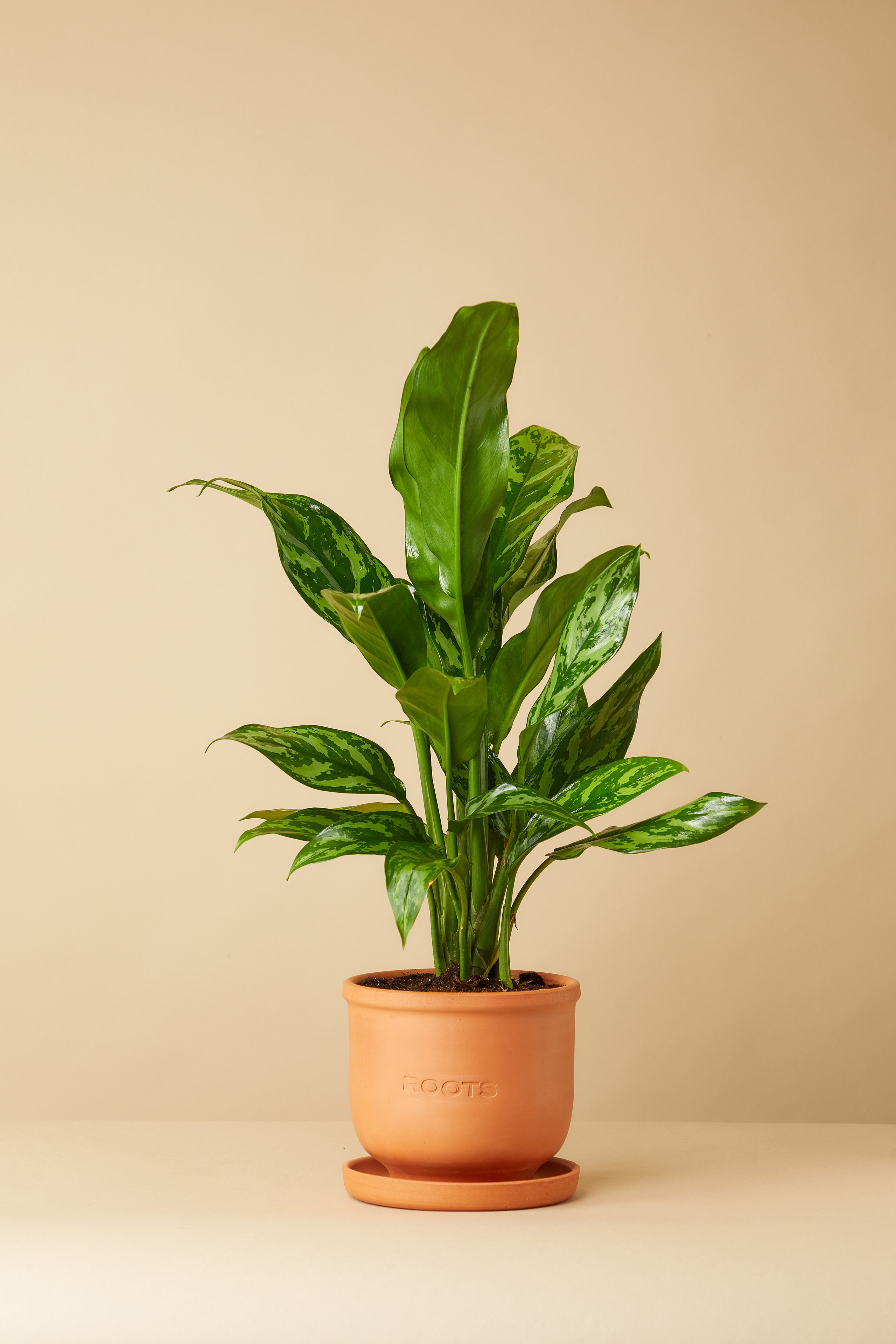 Предметная съемка. Фотограф Беляев Константин Москва