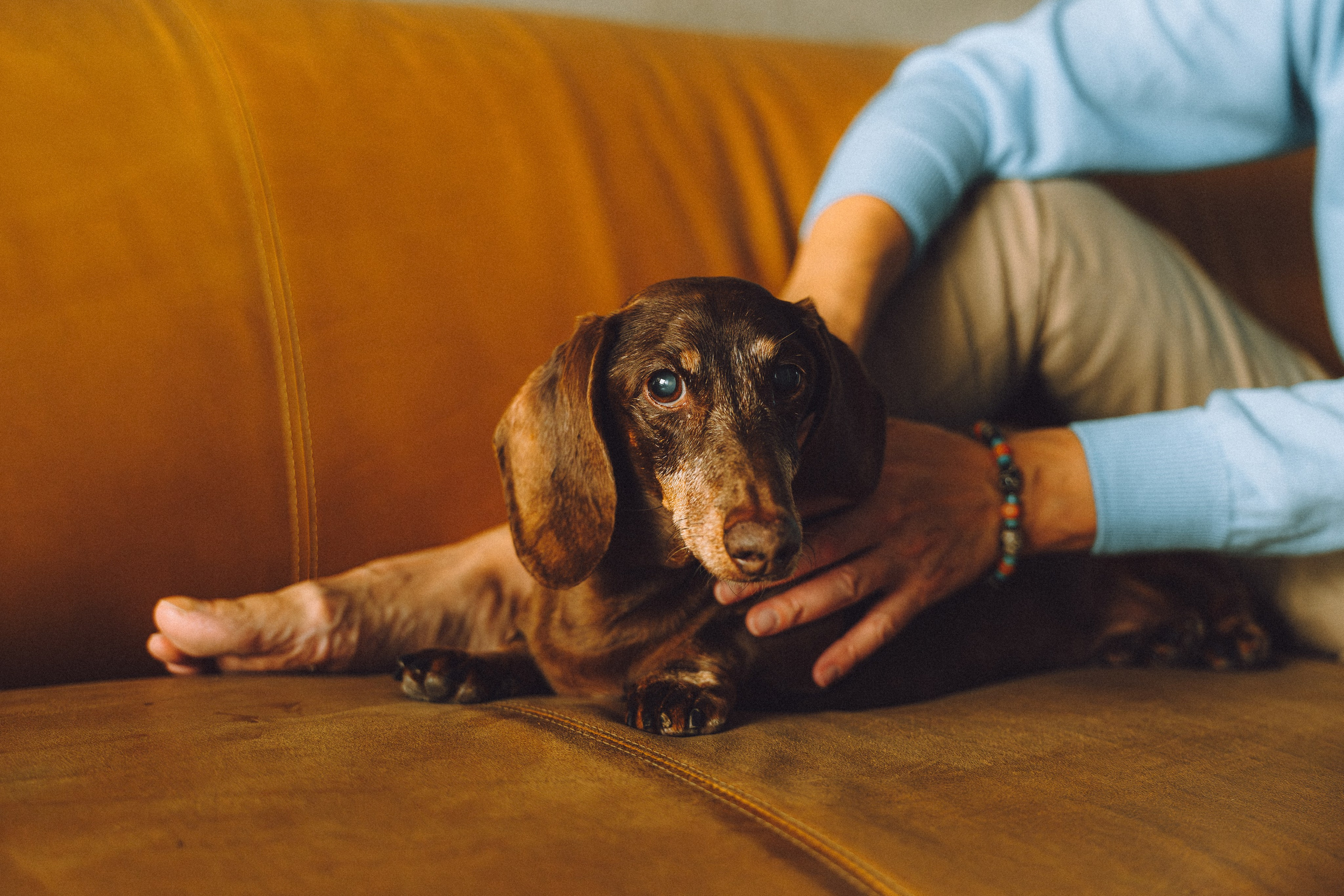 Кокос, Света, Динара и Вилли
