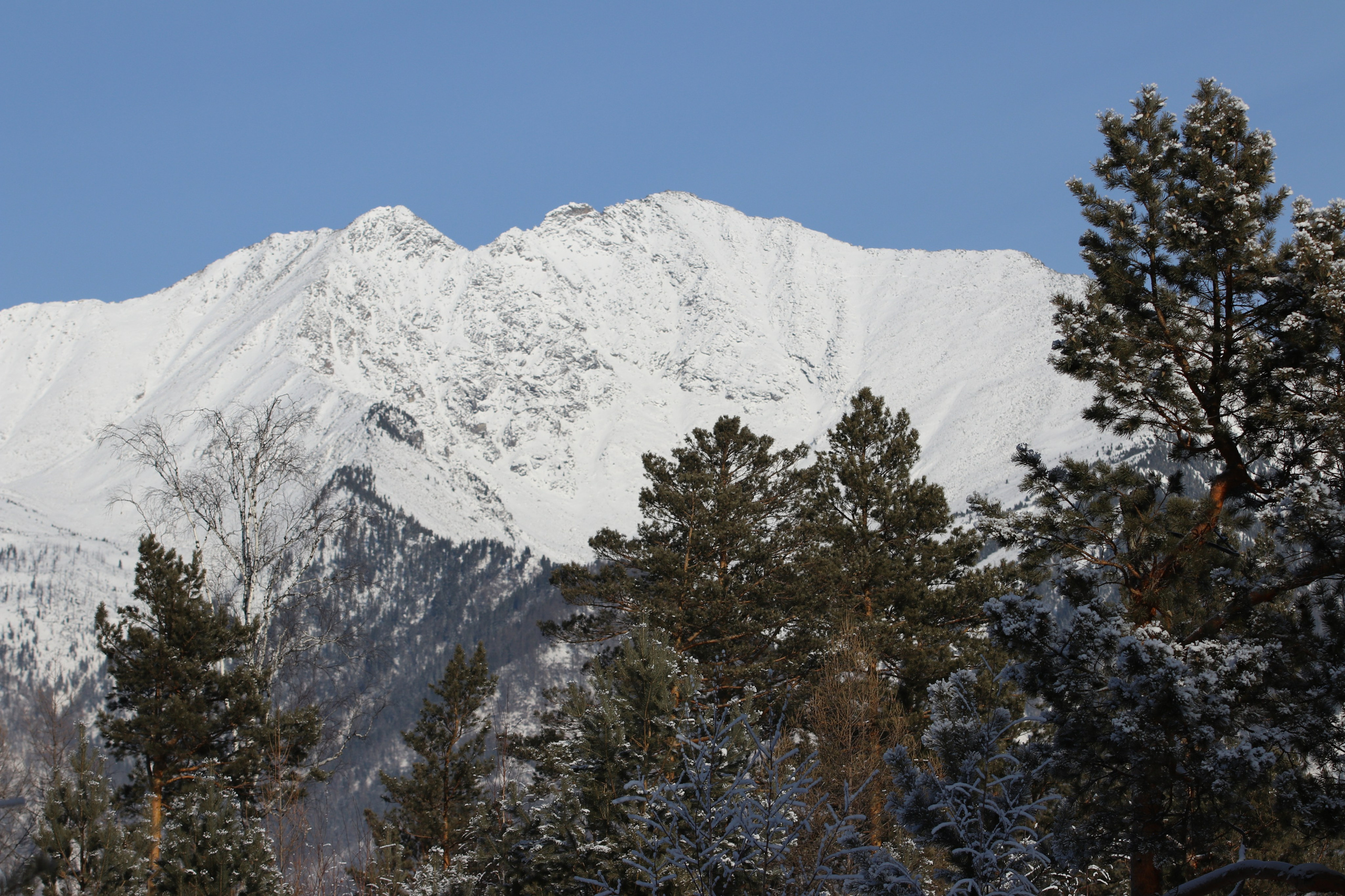 Аршан. Январь 2024. Путешественник-фотограф из Санкт-Петербурга Татьяна Свистулина